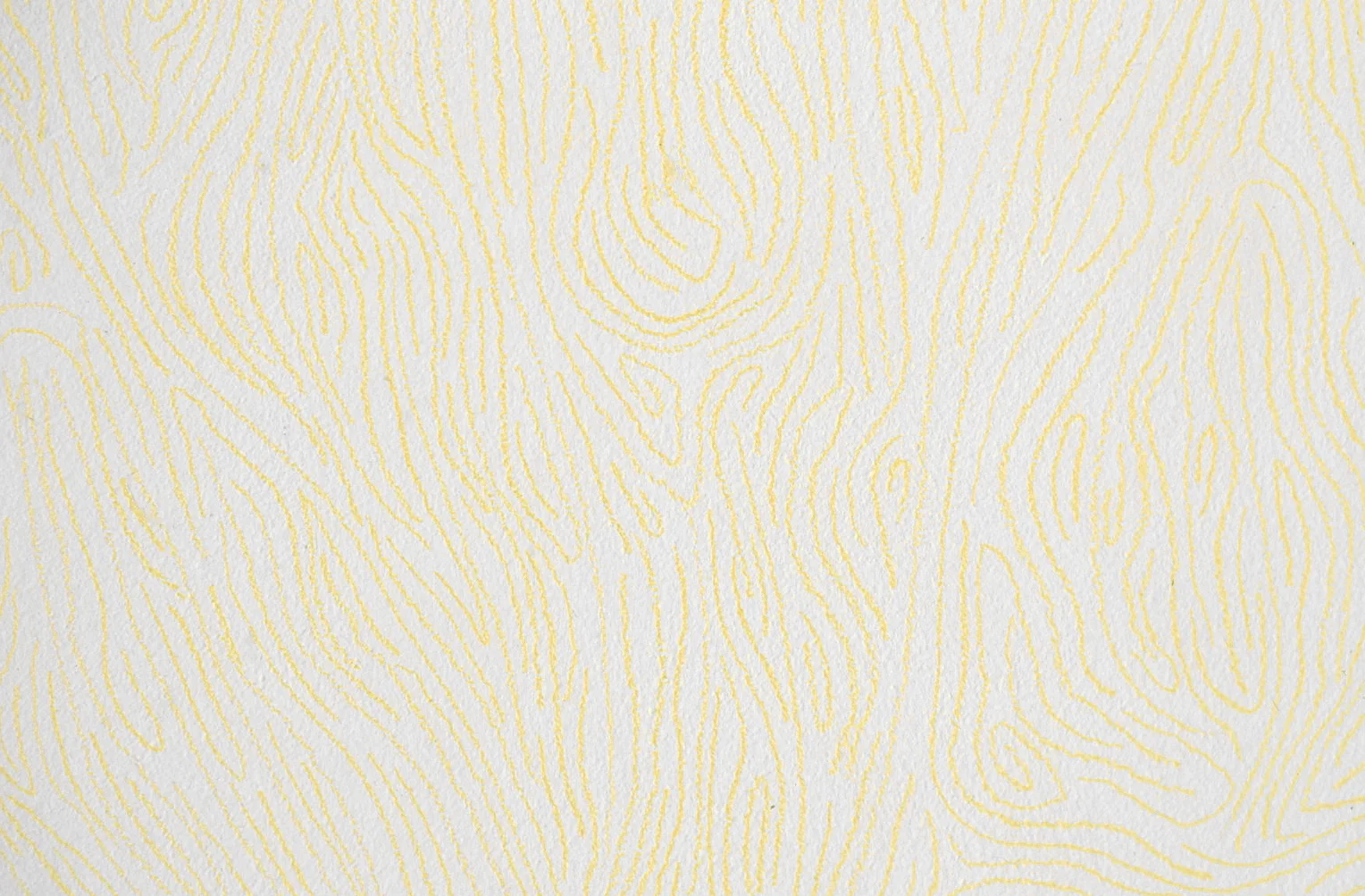 Lewitt at Markey 1995 6-3.jpeg