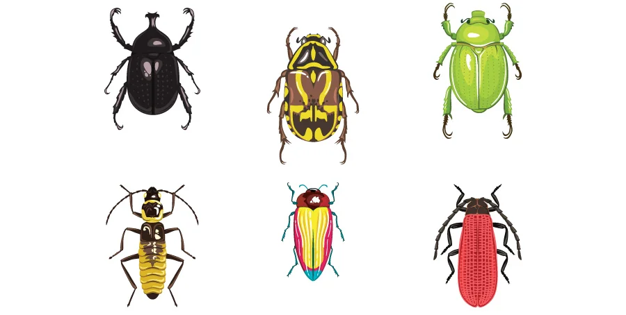 beetles_01.jpg