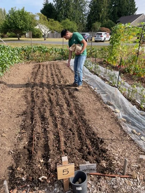 A volunteer spreads winter crop seed along  freshly raked dirt