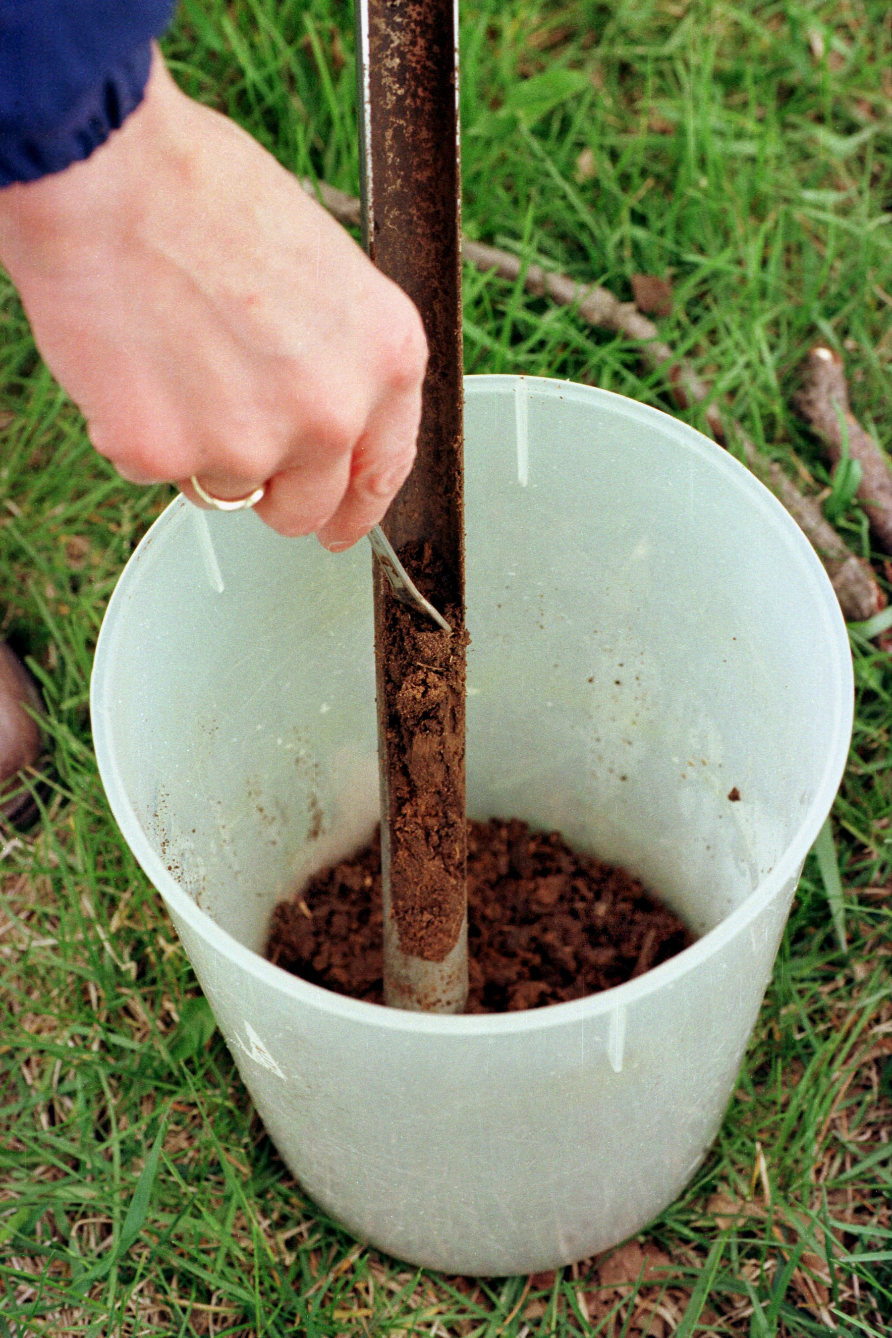 Soil probe with soil sample