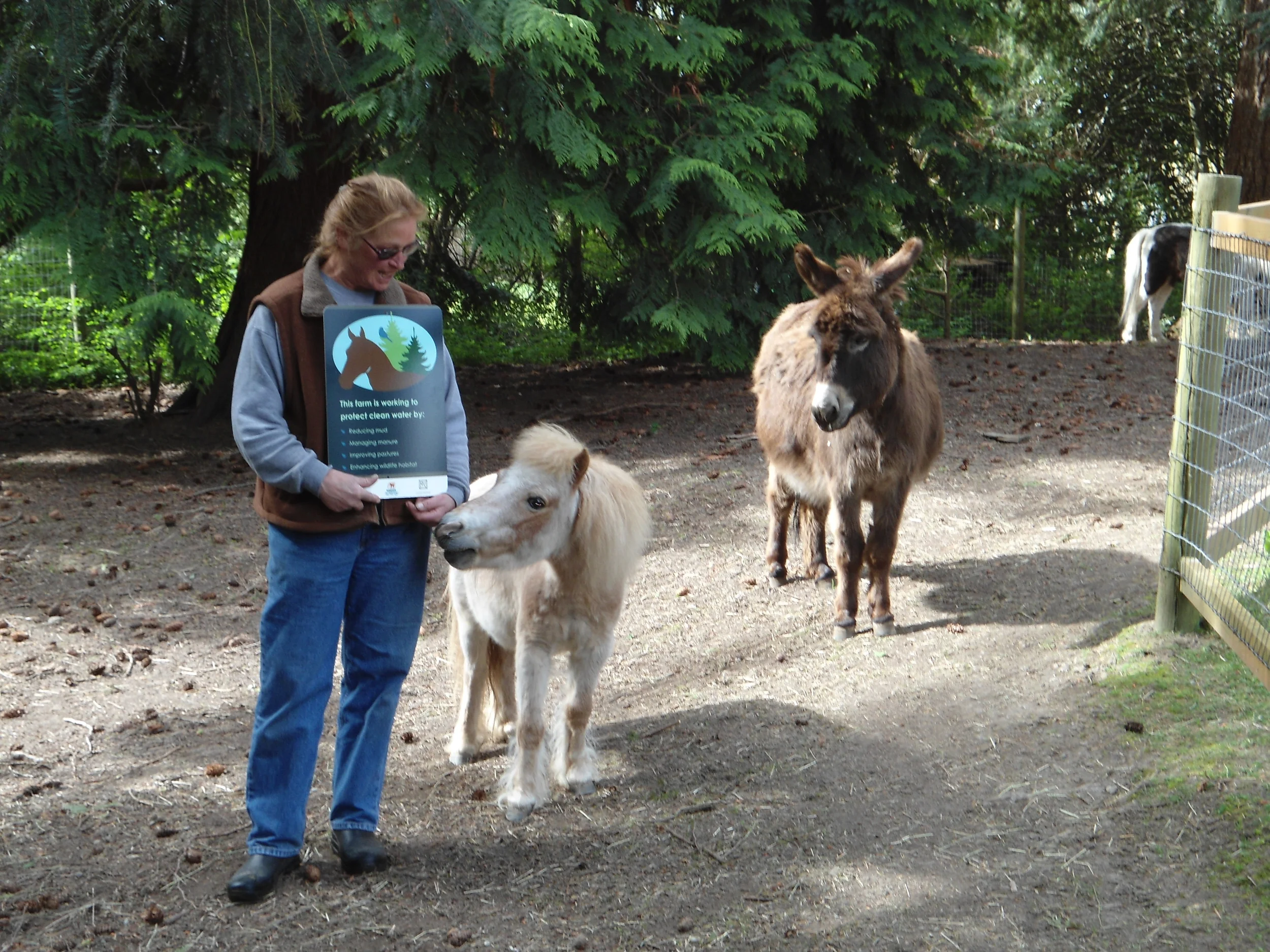 First Camano Island Sound Horsekeeper