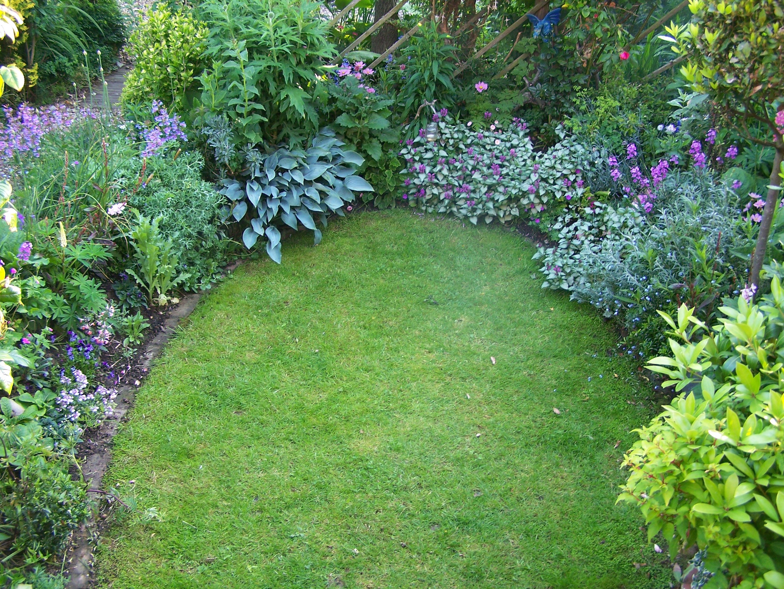 layered planting or reducing lawn.jpg