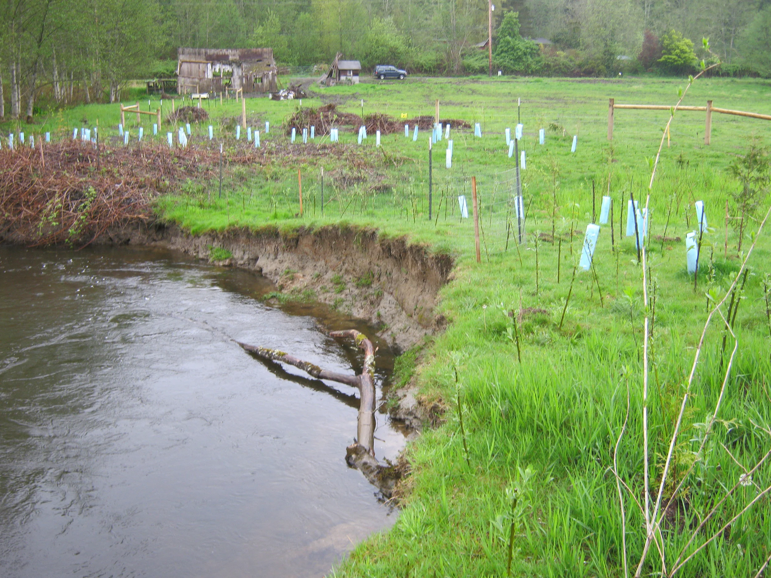Grants Awarded to Help Landowners and Local Streams