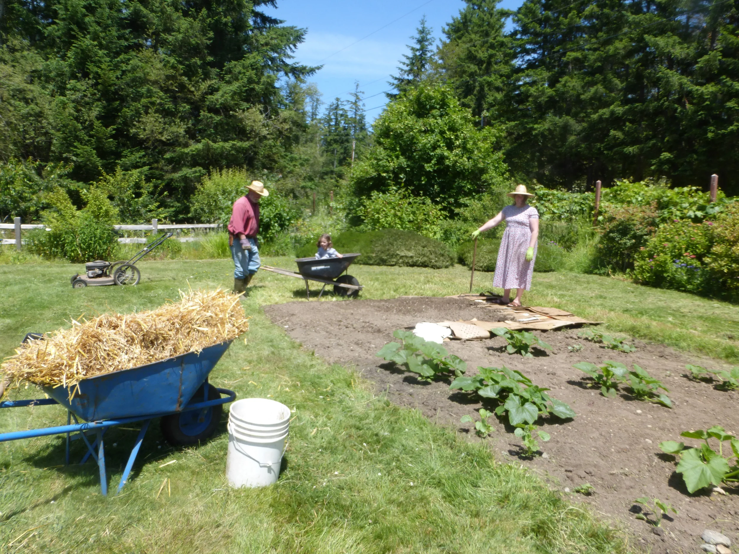 Picture of Jon turning his yard to lawns to lettuce