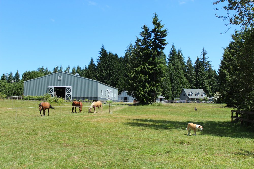 New Bins an Attractive Addition to Lakewood Horse Farm — Snohomish