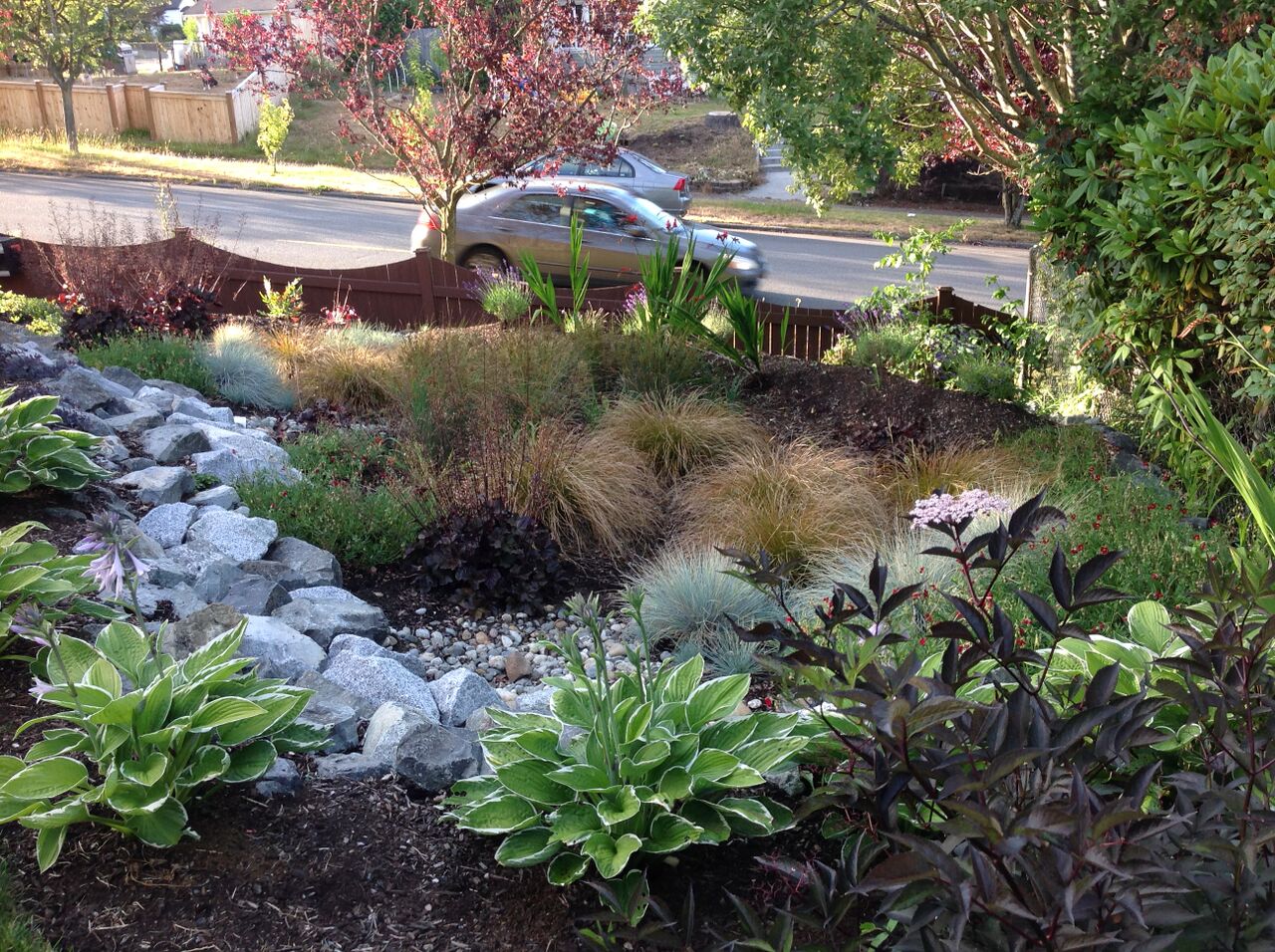 City of Edmonds Rain Garden Pilot Project