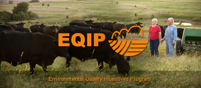 Early Application cut-off date for EQIP statewide initiatives