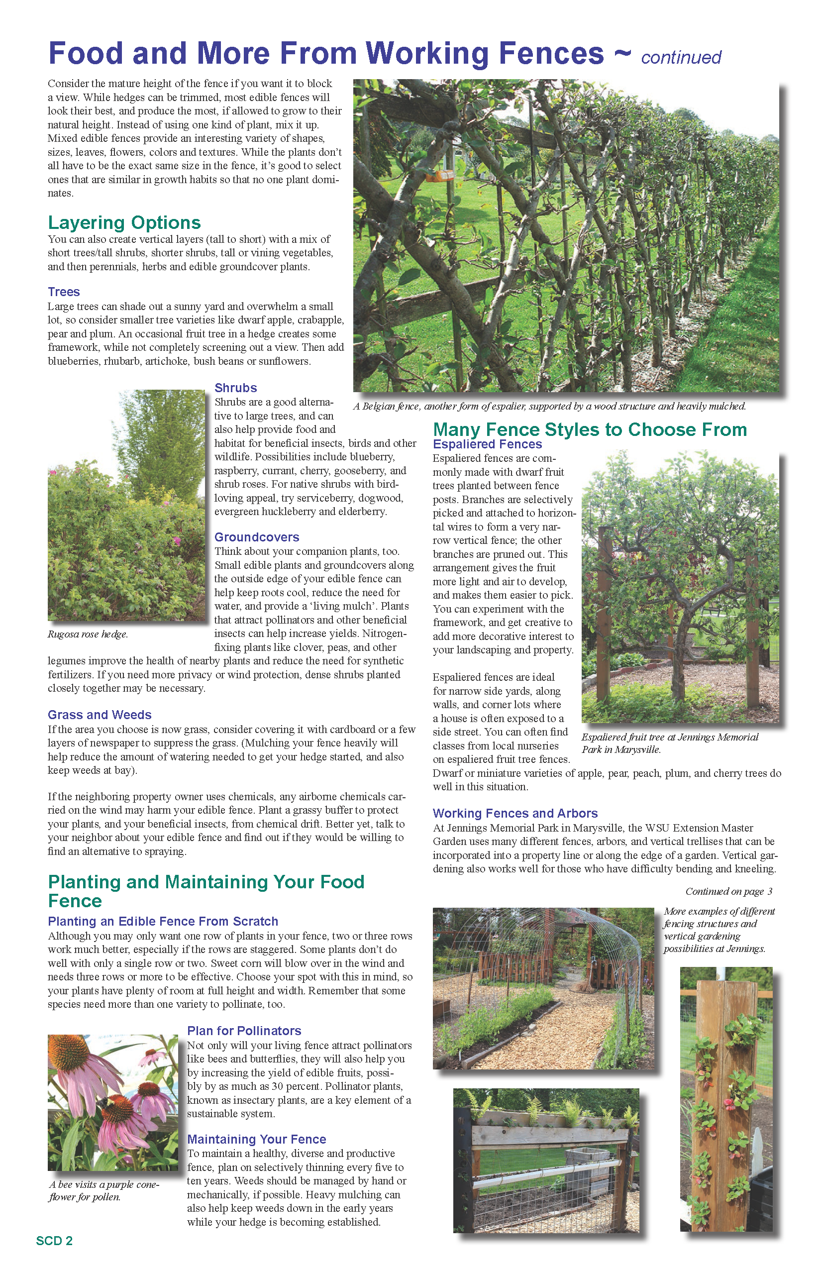 2015 Summer Print_Final resized_Page_2.png