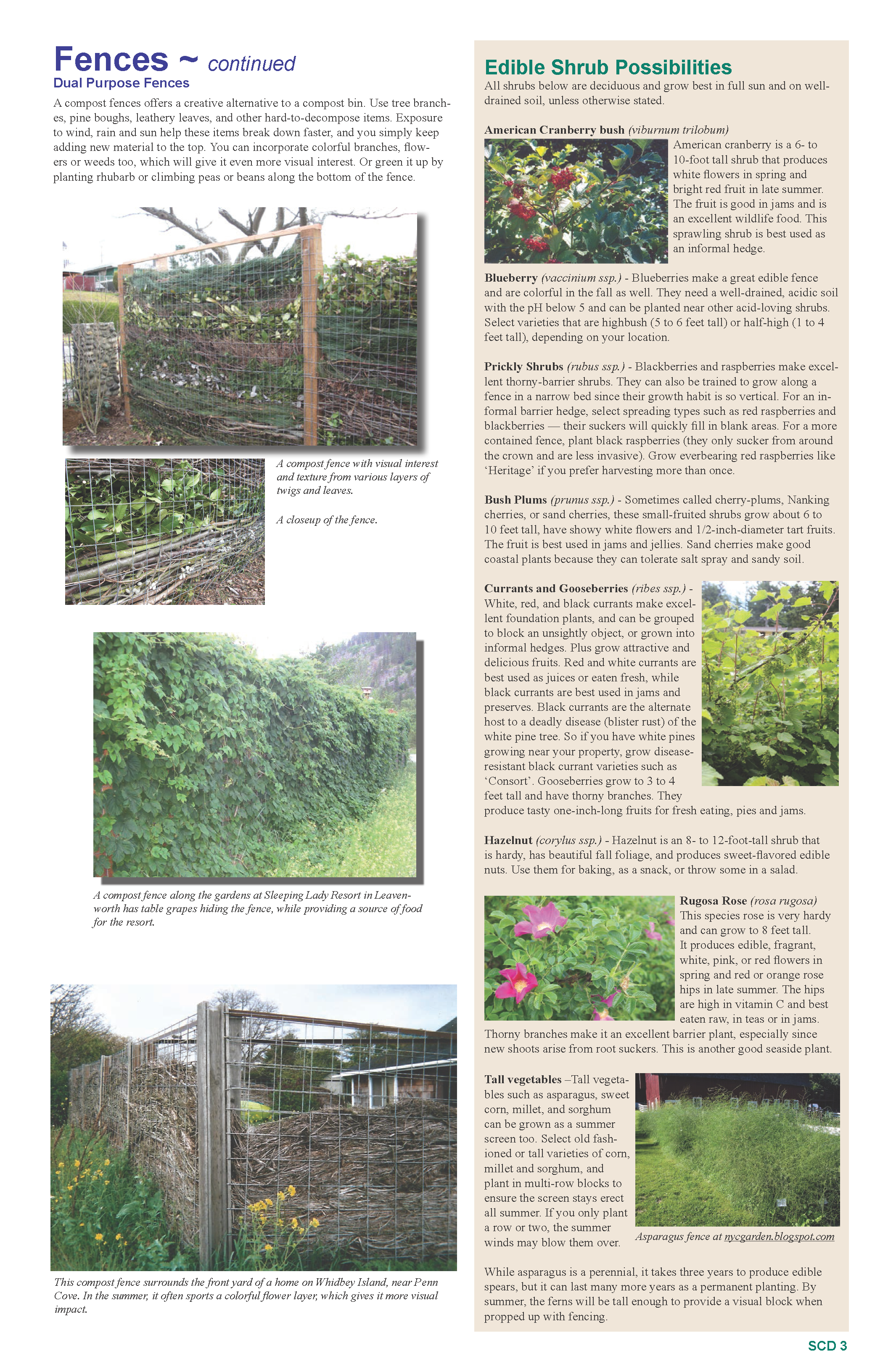 2015 Summer Print_Final resized_Page_3.png