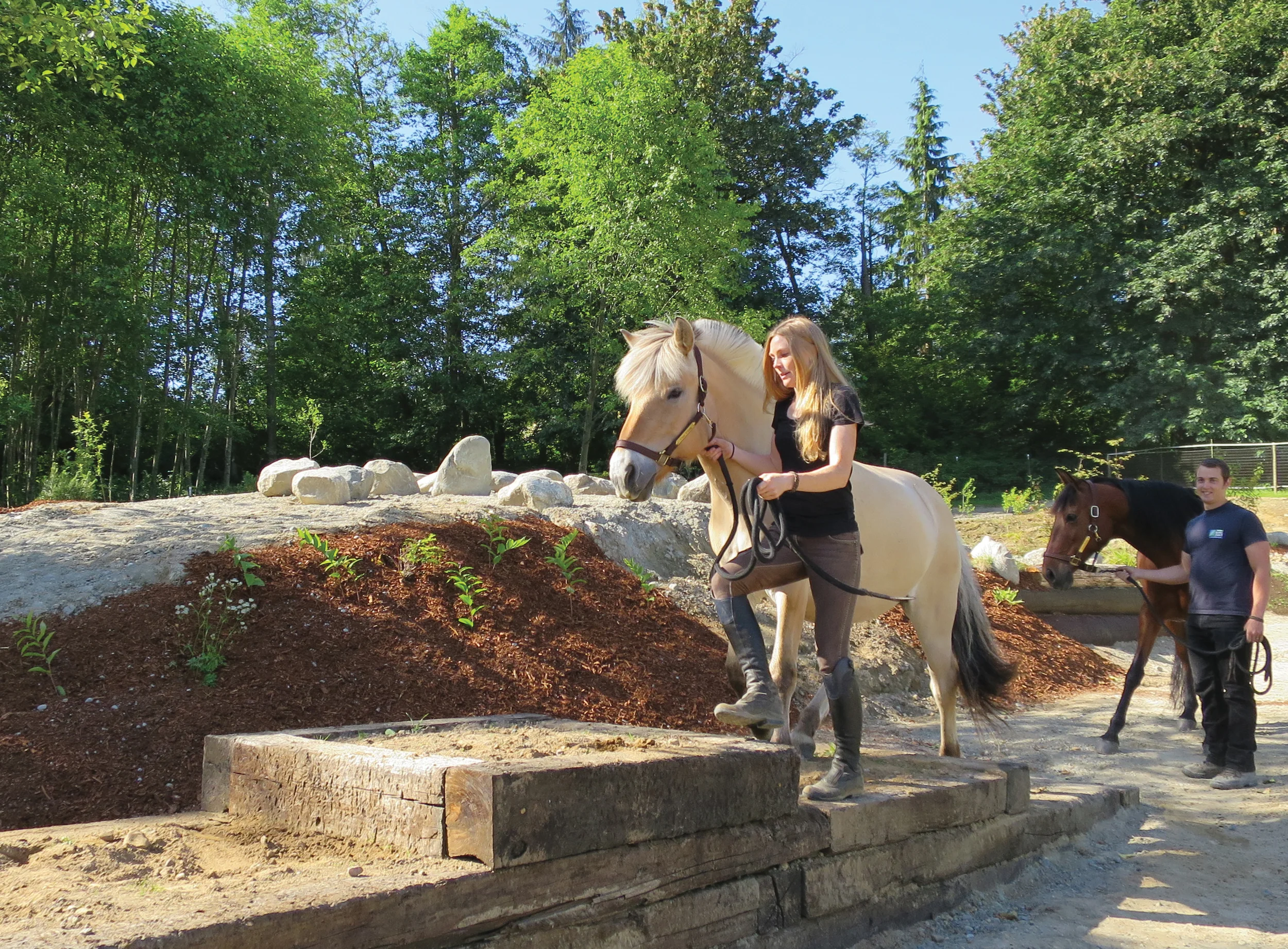 Horse Farm Takes a Lighter Approach