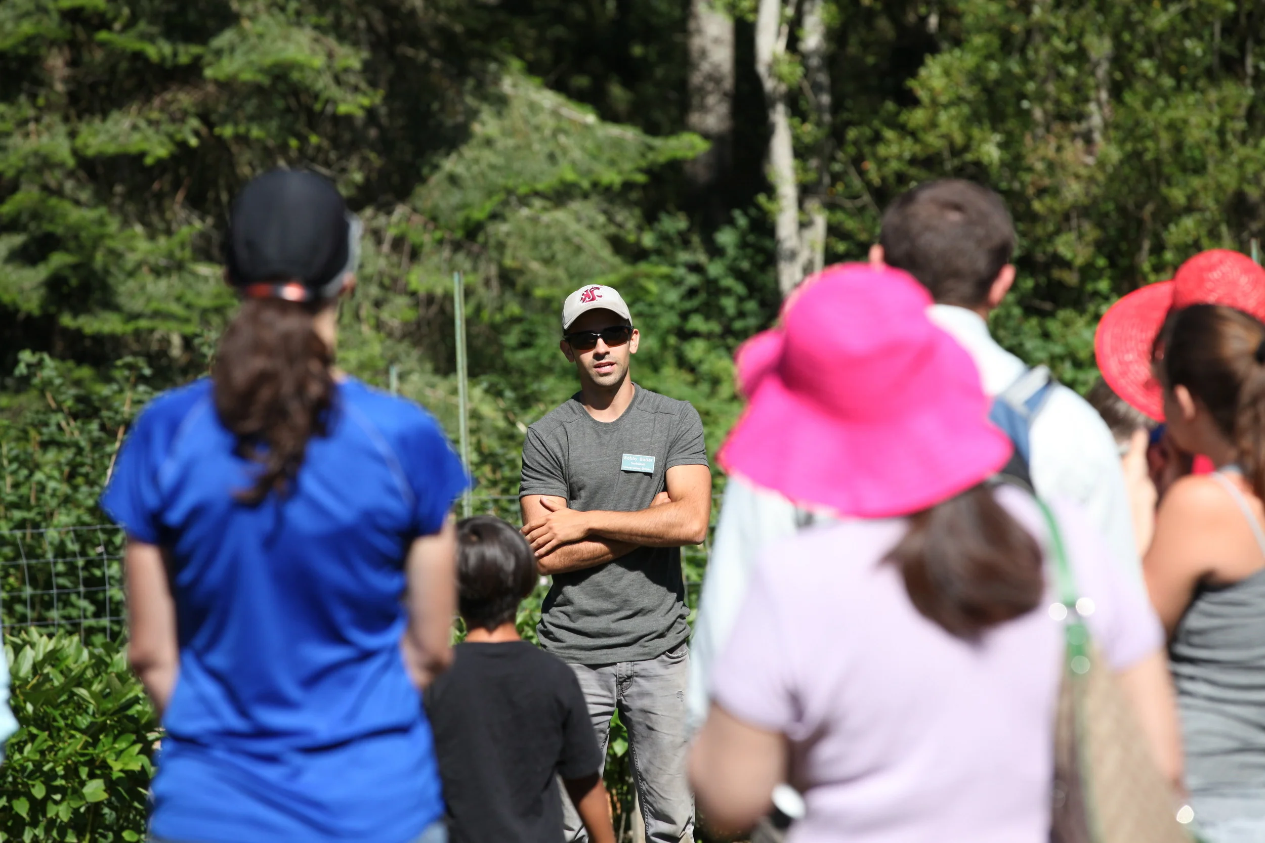 Lawns to Lettuce... and Cinnamon Rolls​