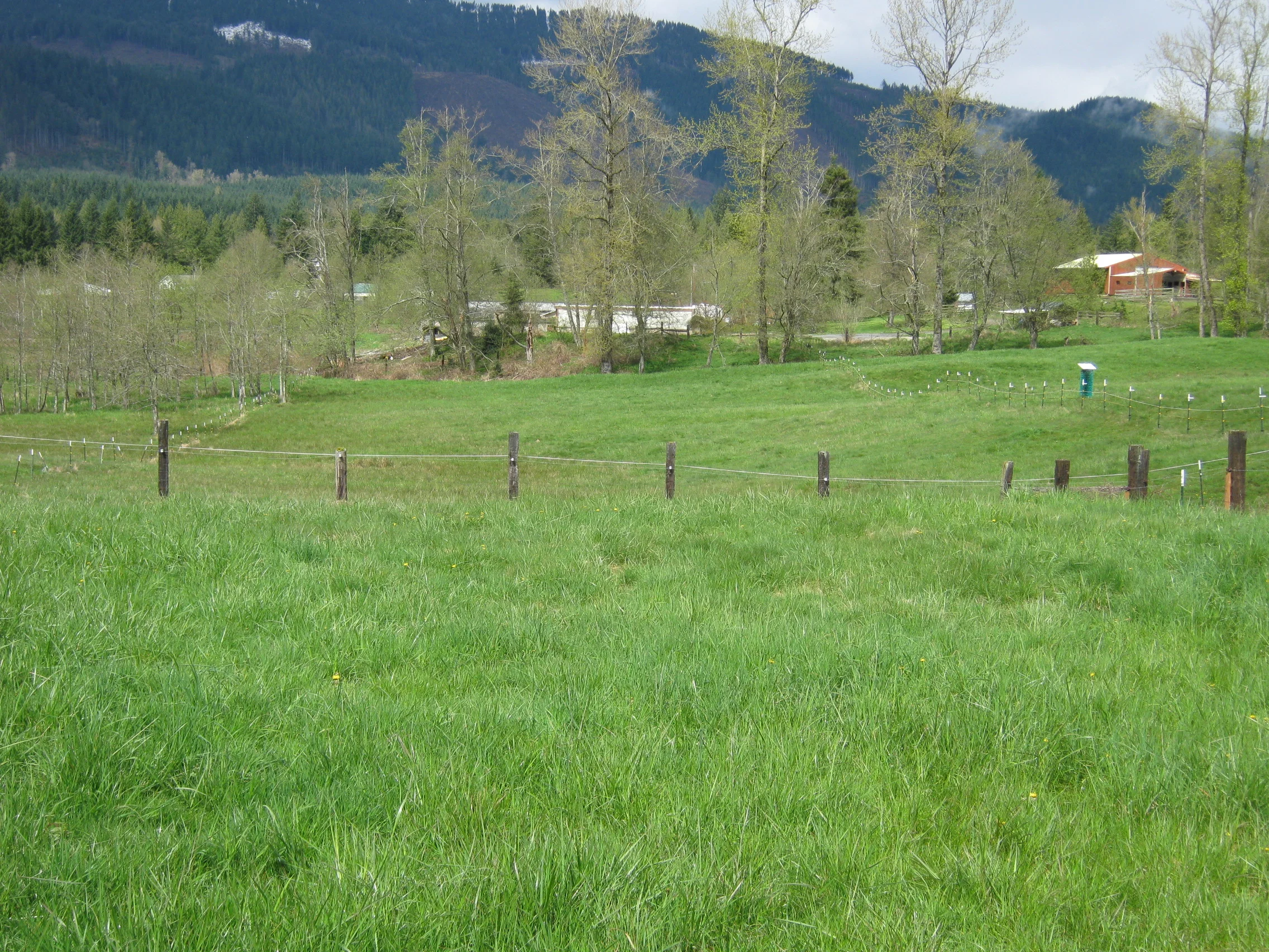 Fall is a Great Time to Lime