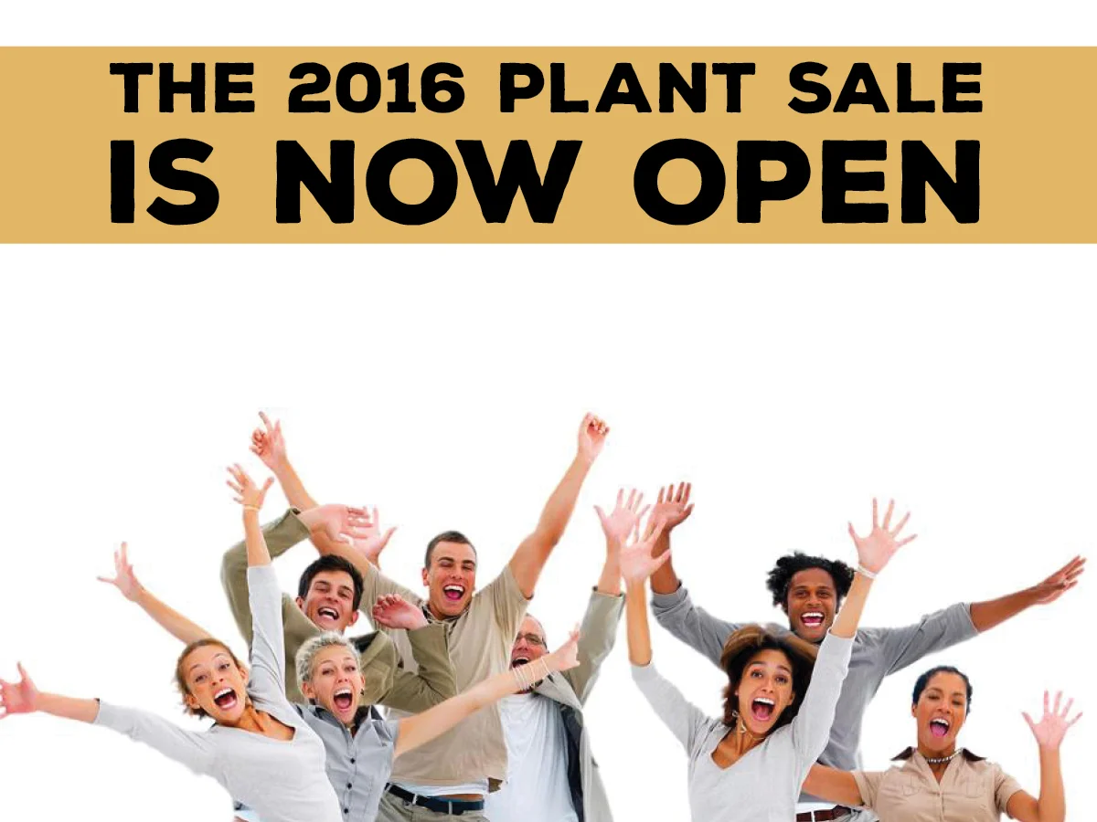 31st Annual Plant Sale Now Open