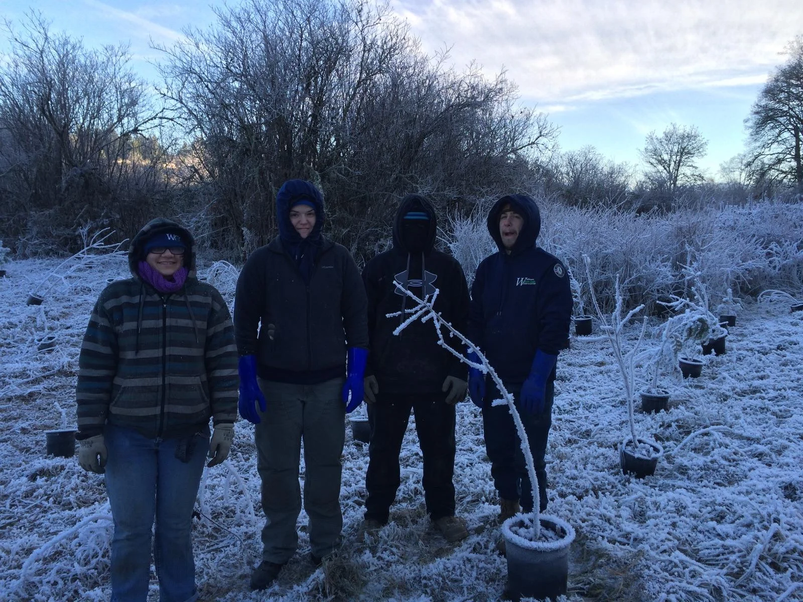 Cold Morning Crew Sighting 
