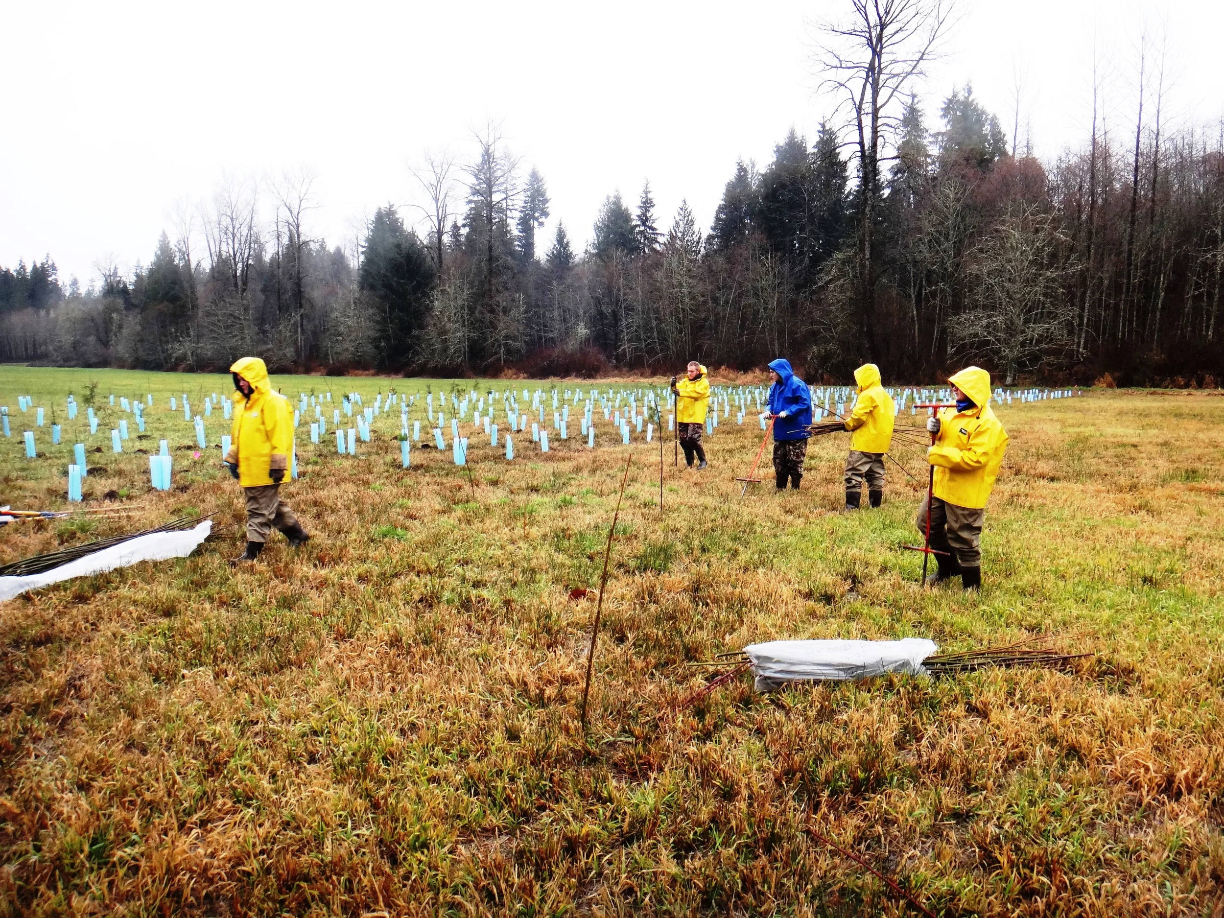 Woods Creek Crew Sighting