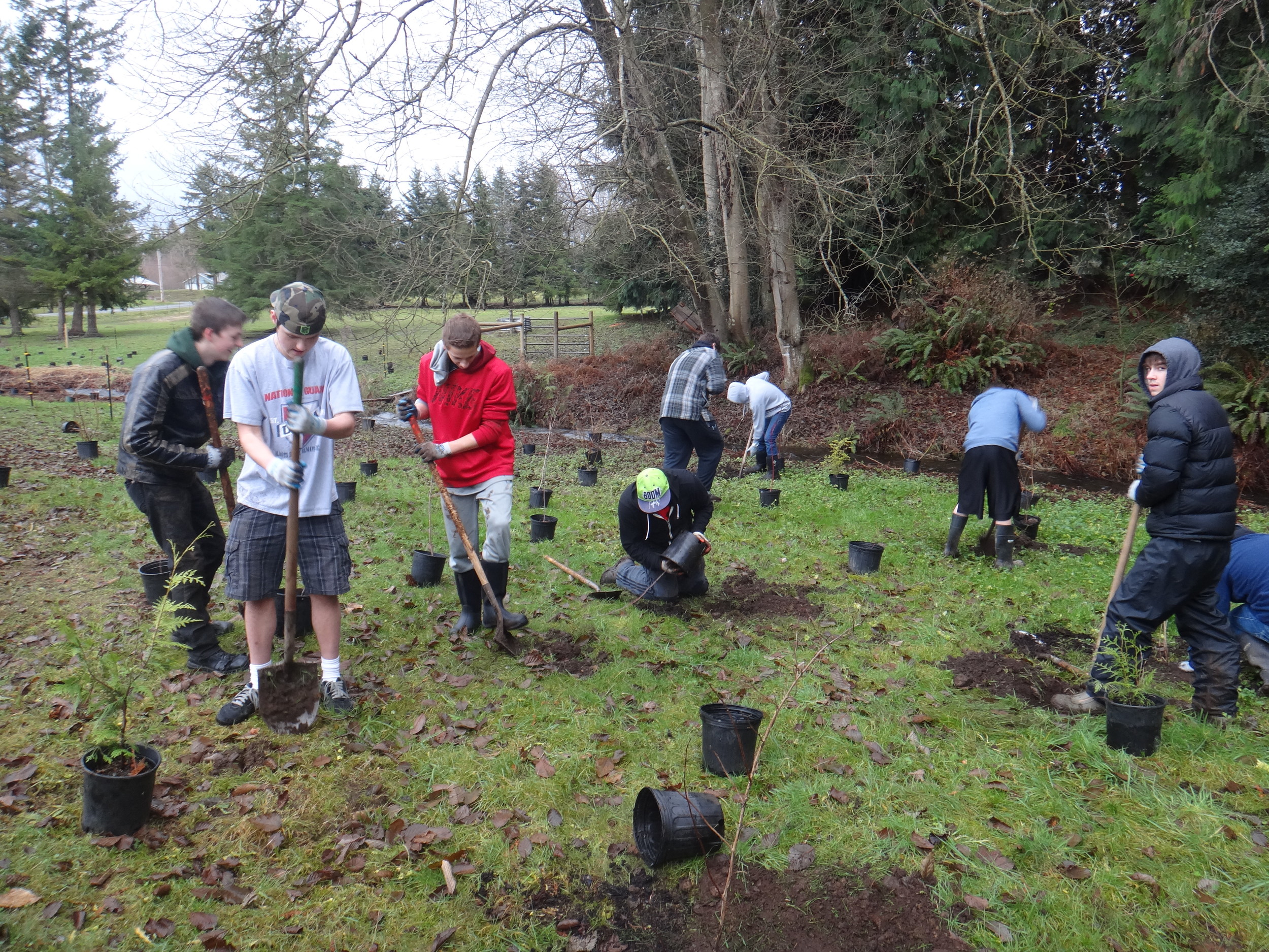 Volunteer planting3.JPG