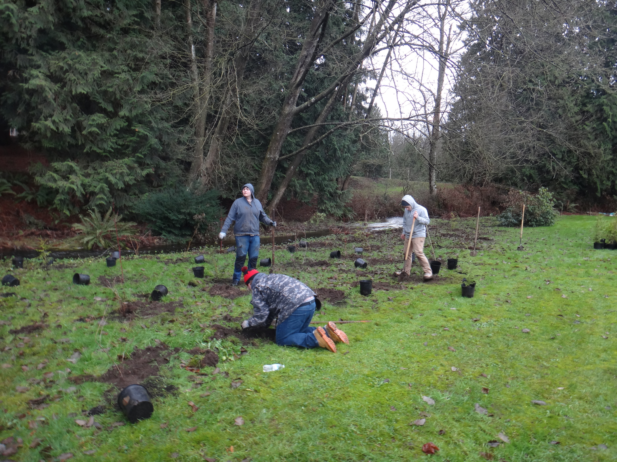 Volunteer planting1.JPG