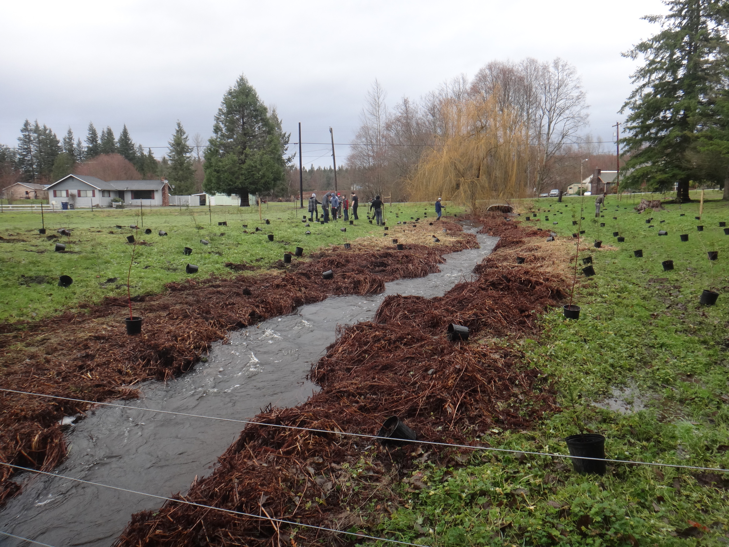 Volunteer planting4.JPG