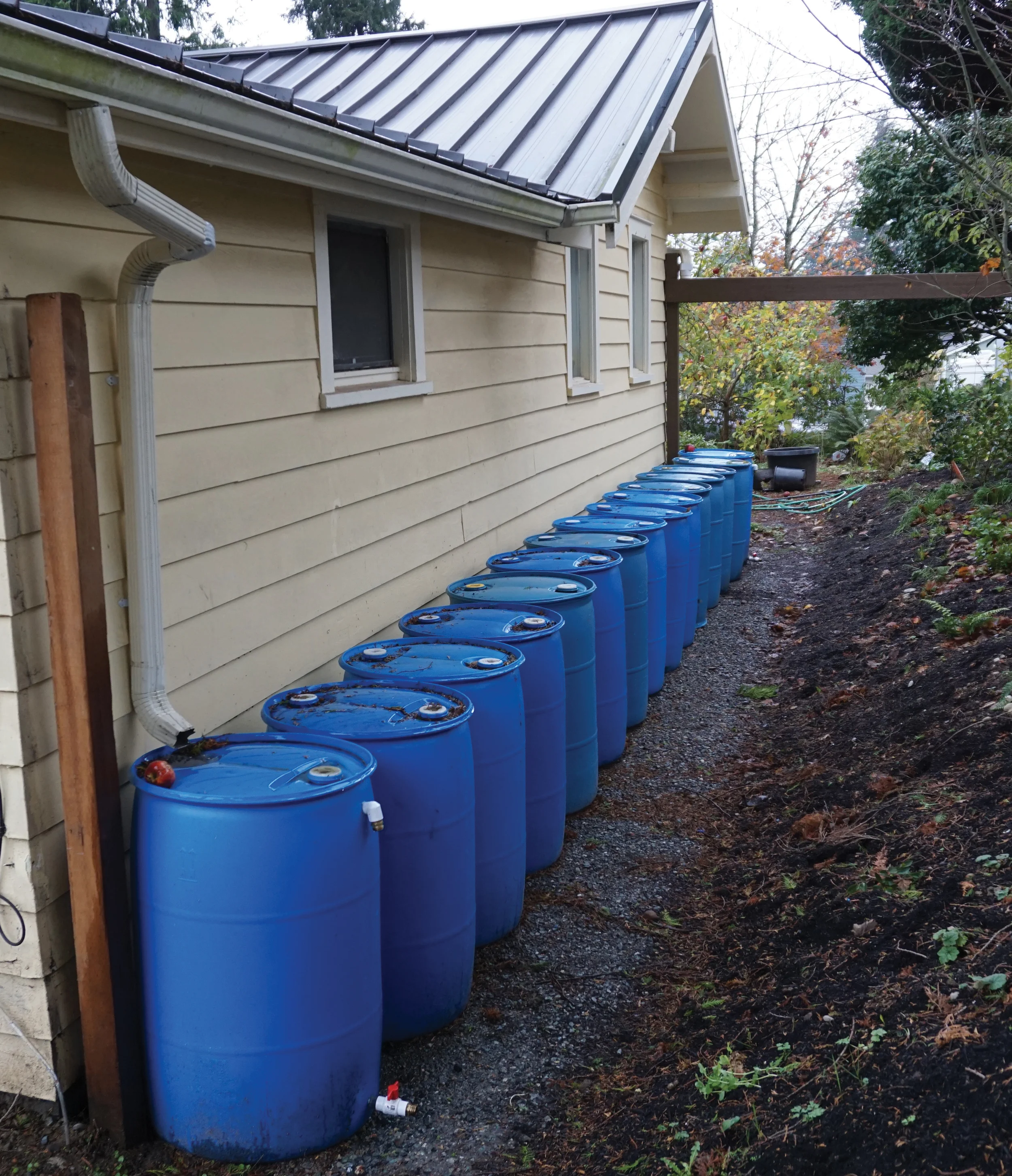Fifteen rain barrels line the side of the Martinez-McCullough home in Everett. 