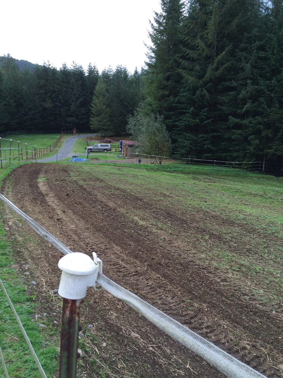 The How and When of Pasture Renovation — Snohomish Conservation District