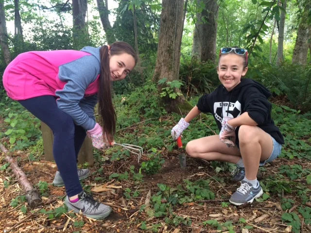 Student volunteers plant natives in the schoolyard habitat. The school community has worked with local boy scout troops for several years to restore the schoolyard habitat.