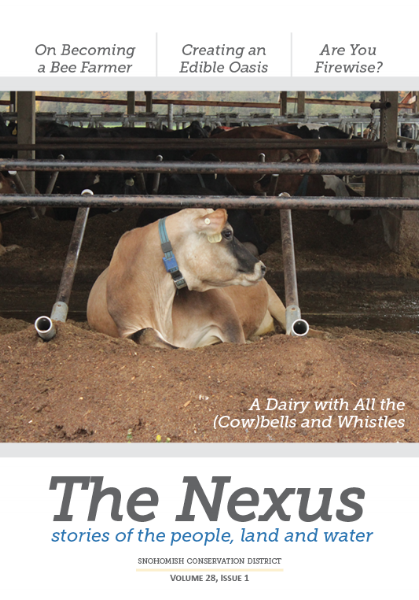 cover.png