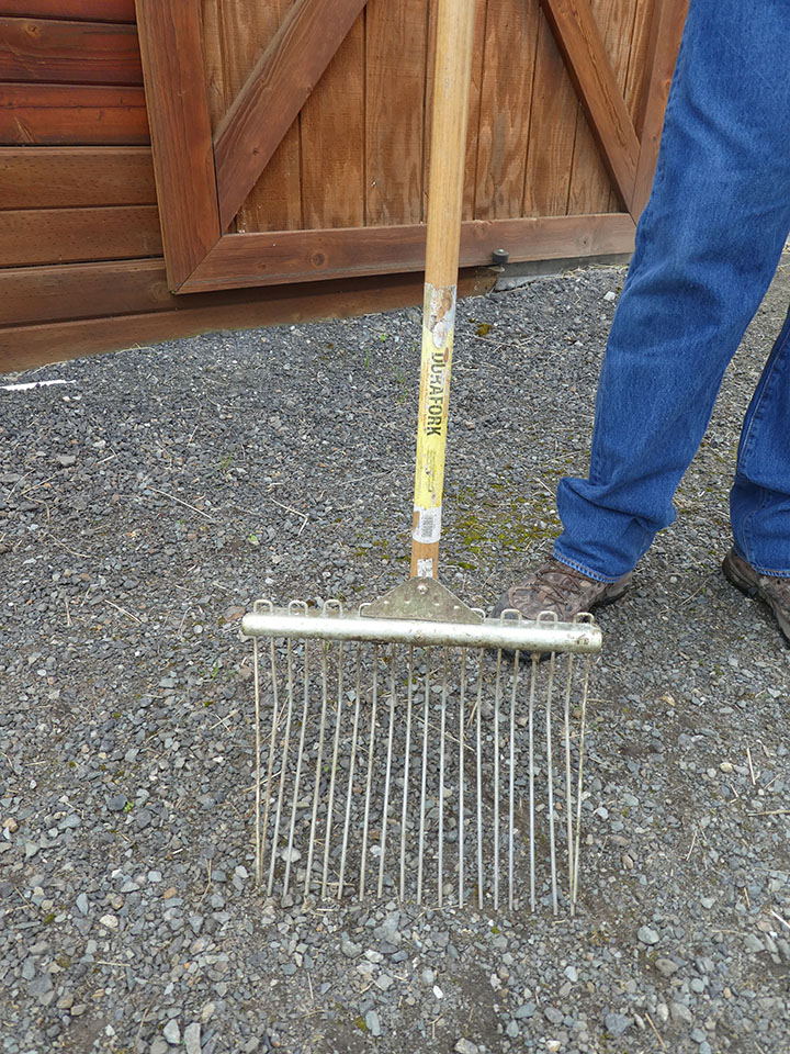 their favorite manure fork_P1000391.JPG