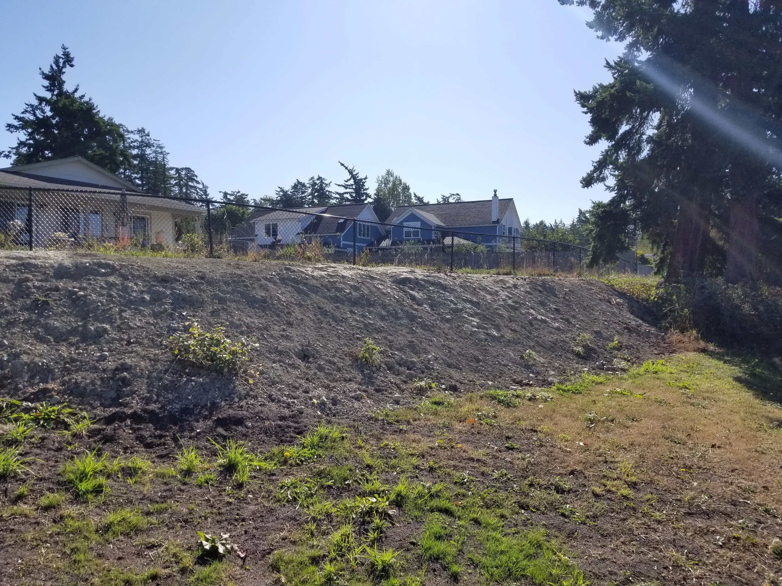 Before our vet crew began working on the regrade
