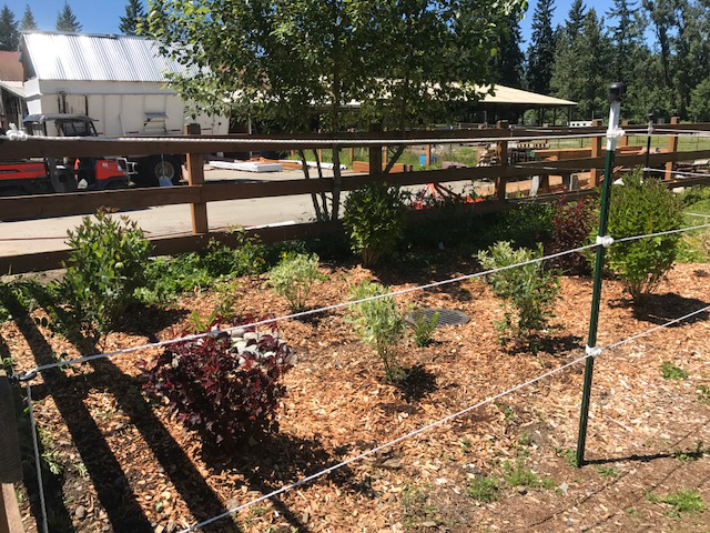 20170626FromCooperator-0352.jpg