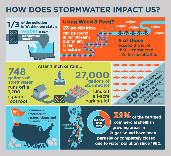Graphic courtesy of King County.