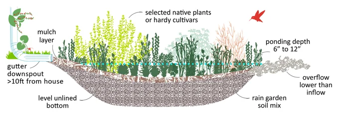 diagram-of-rain-garden.jpg