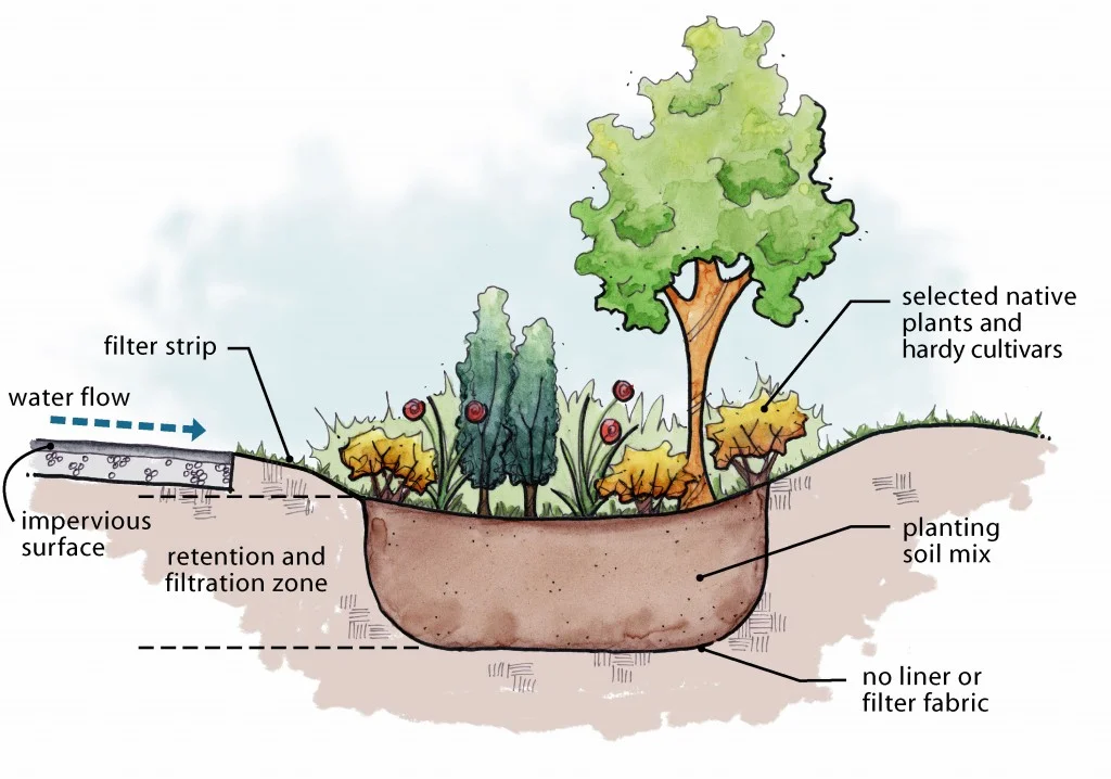 Rain-Garden-sideview-without-underdrain-1024x718.jpg