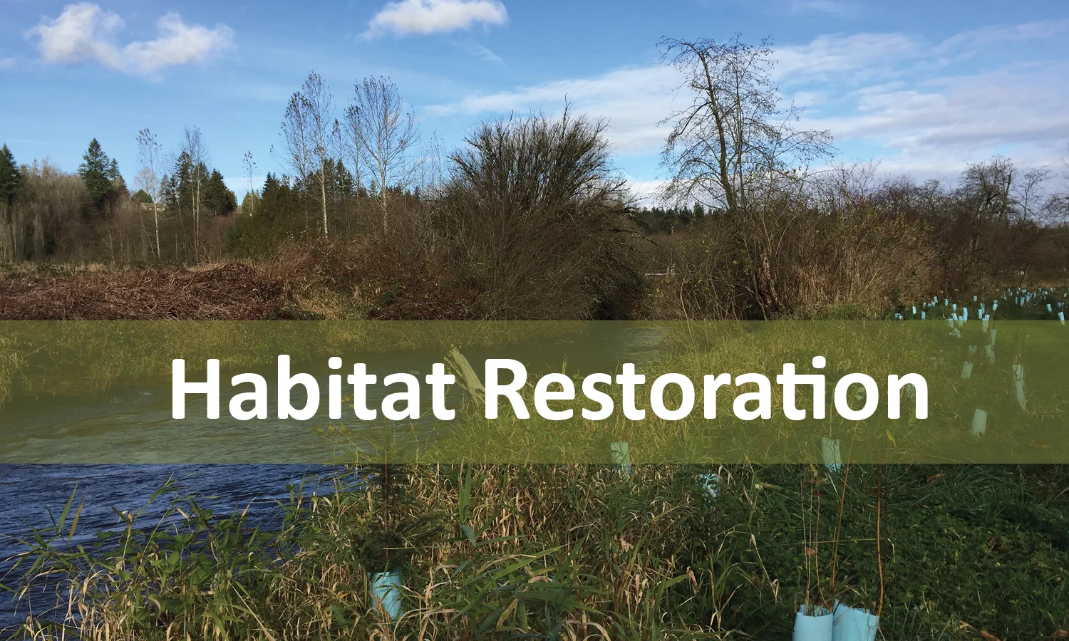 Habitat Restoration Program Button
