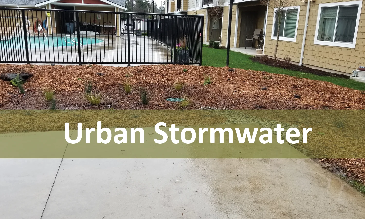 Urban Stormwater Program Button