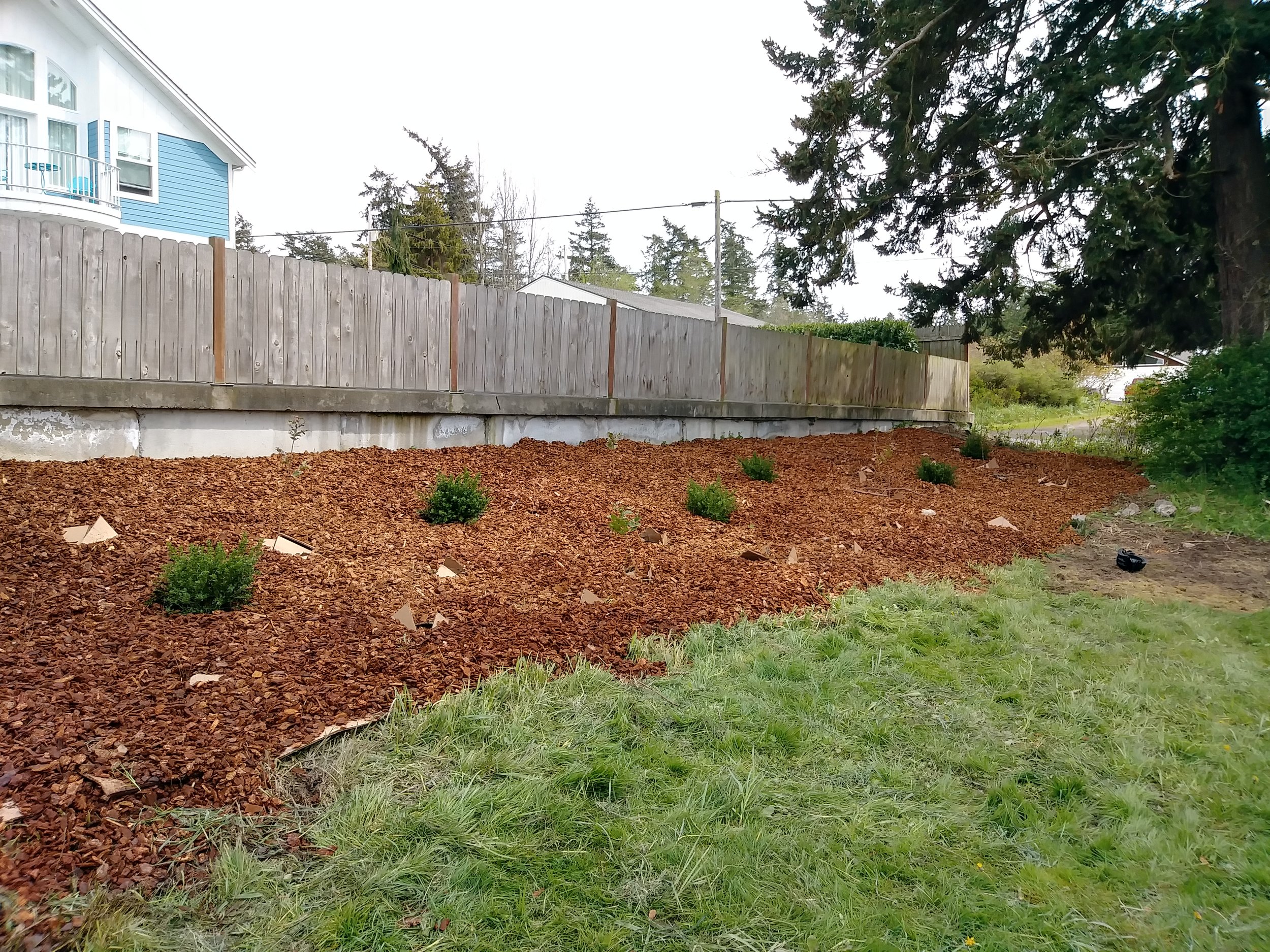 AFTER: The bed was then covered with mulch and appropriate plants to help retain water on this slope.