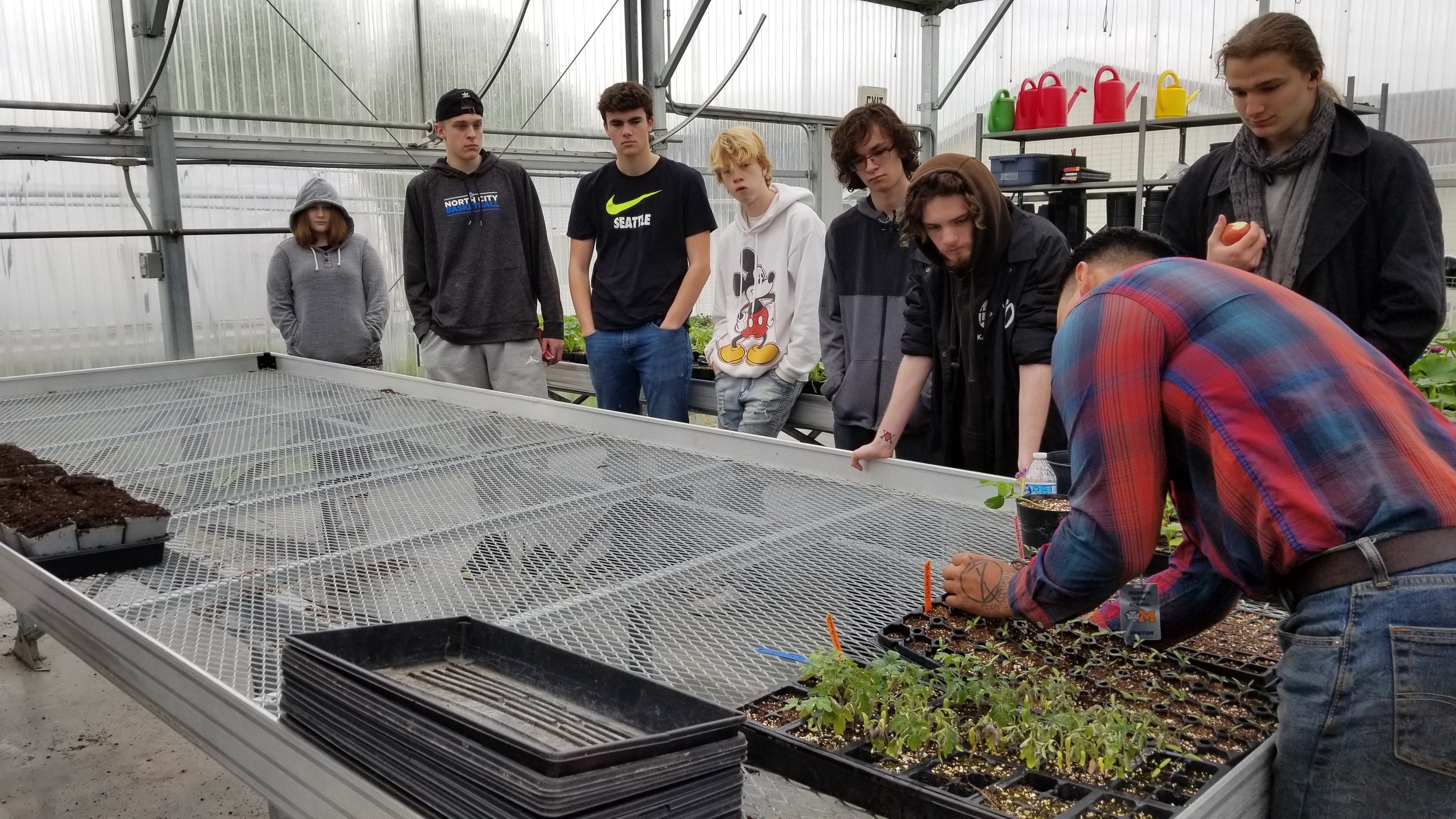 Monroe FFA students learning how to transplant