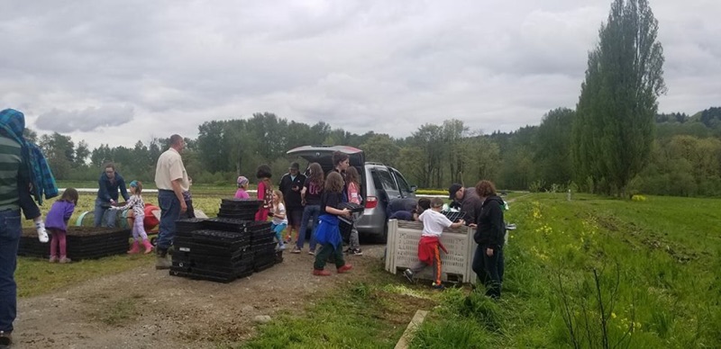 Girl Scouts planting at Jim Eichner's Food Bank Farm