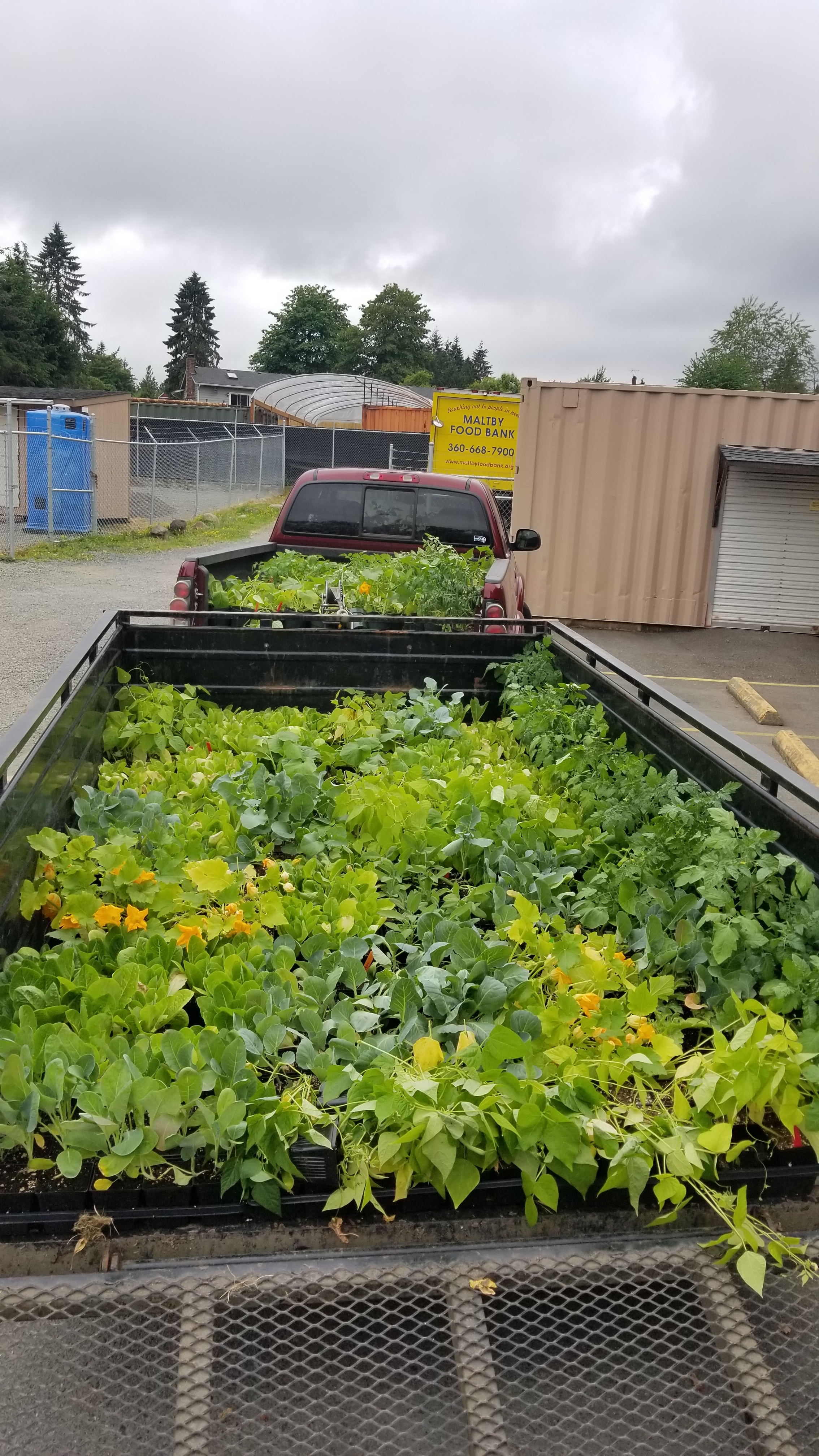 Maltby Food Bank