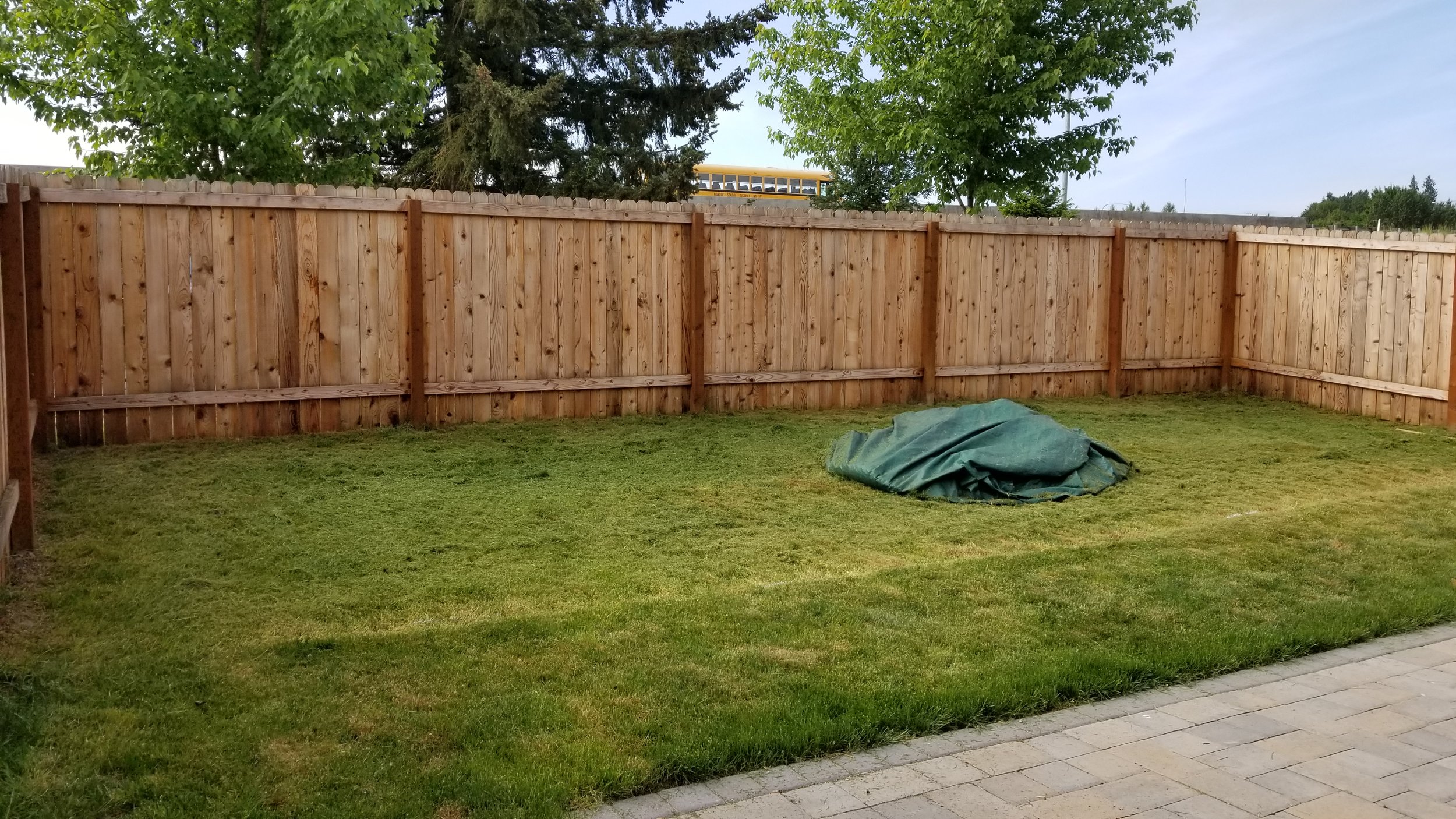2nd Lawn Makeover BEFORE