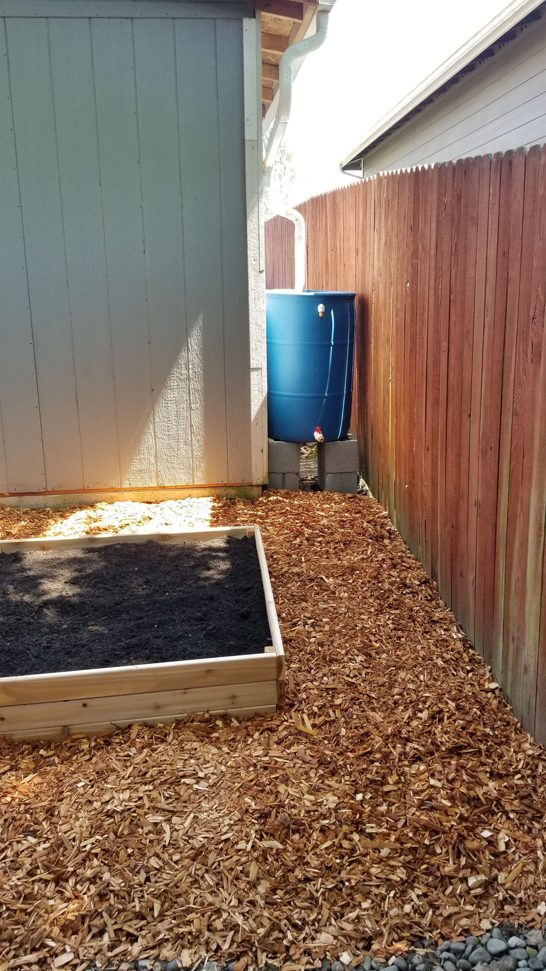 AFTER: Cedar chips are added around the bed to keep down weeds and grass, and provide a permeable surface so rainwater can infiltrate into the ground.