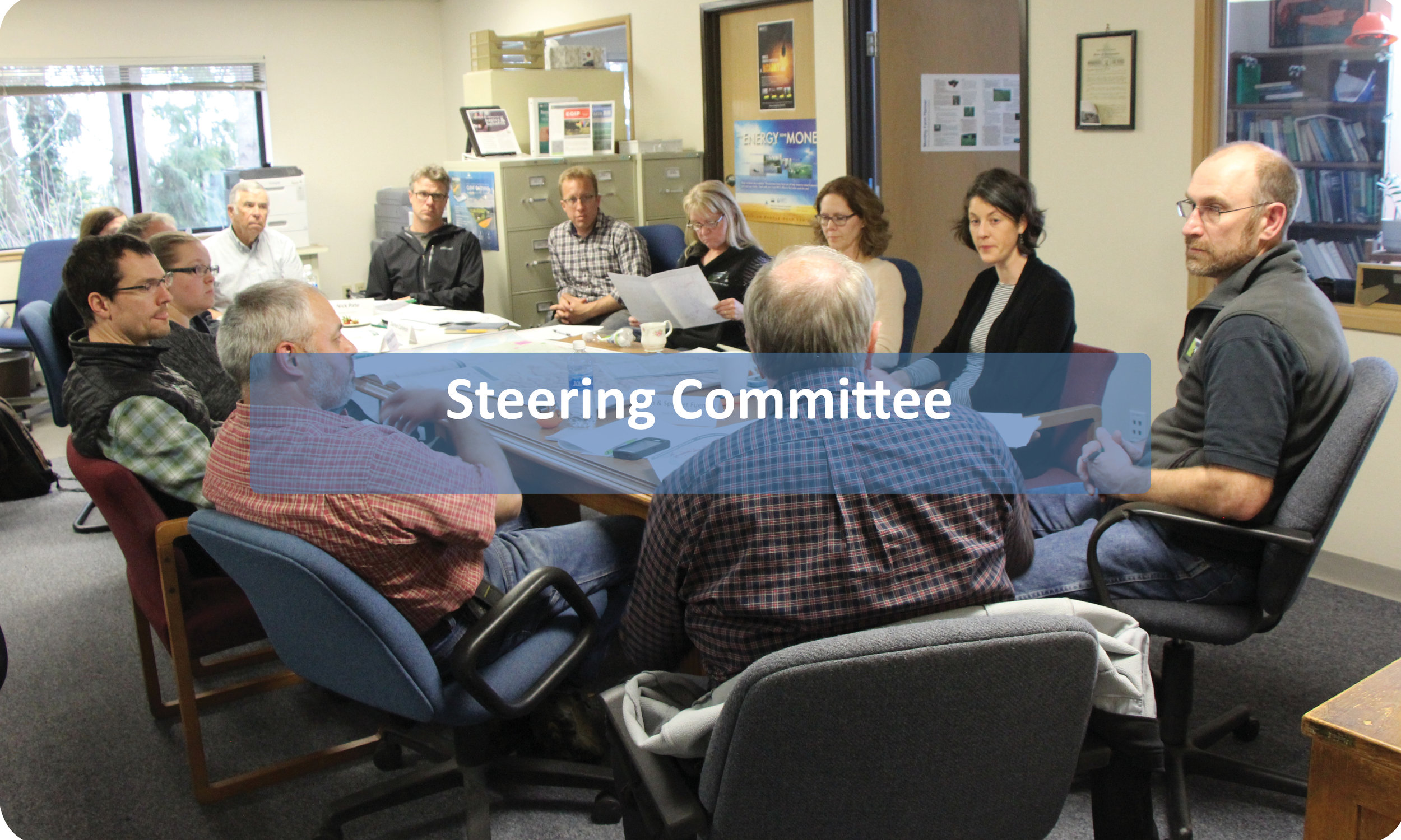 Steering Committee