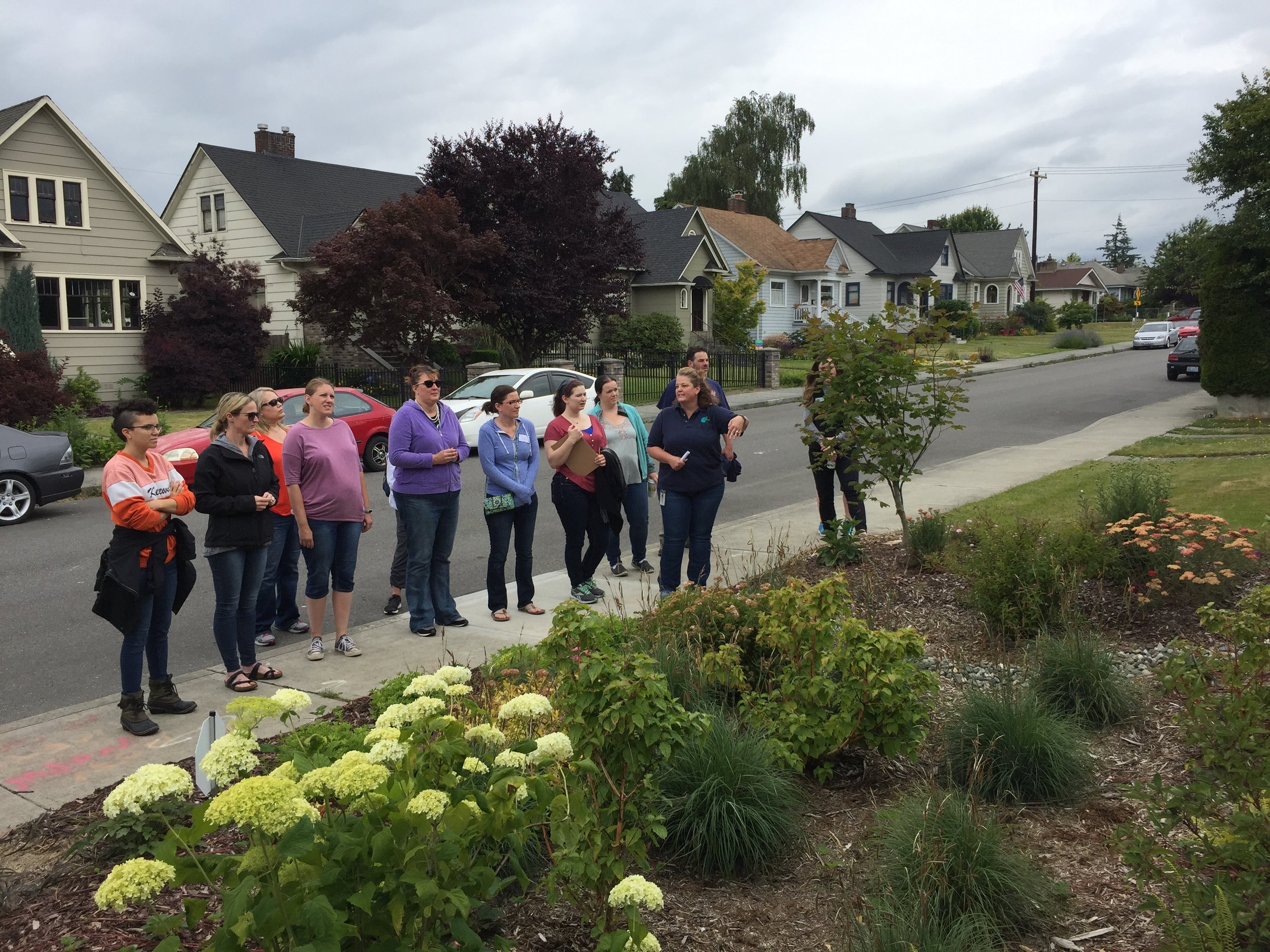 Apryl from the City of Everett explaining the North Everett rain garden cluster