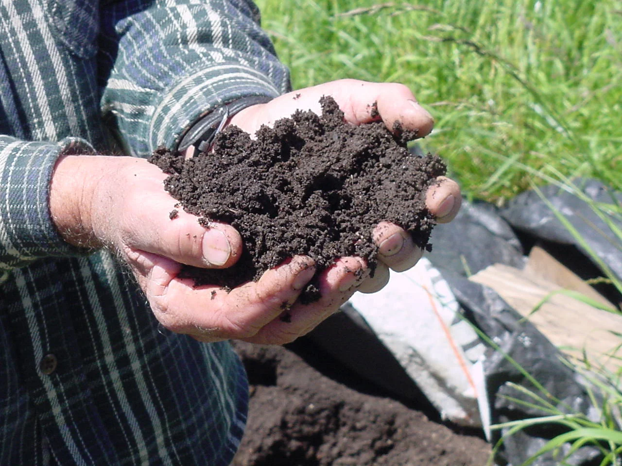 Compost2.jpg