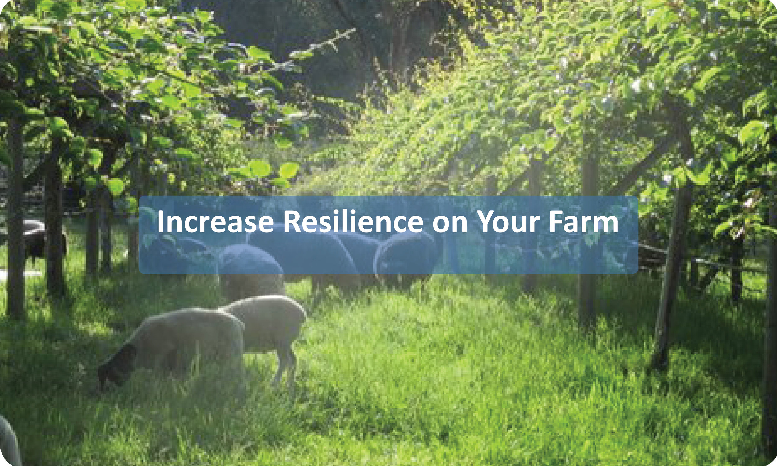 Increase Resilience on Your Farm