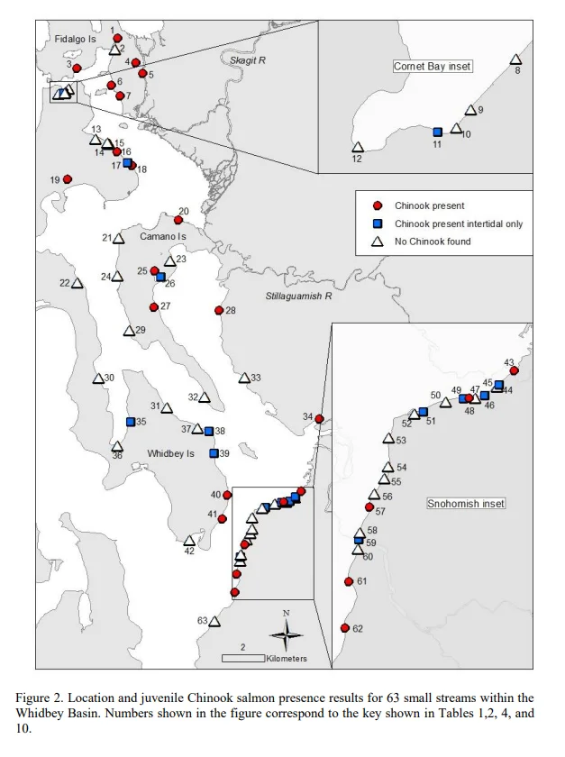 Map of Chinook bearing streams.jpg