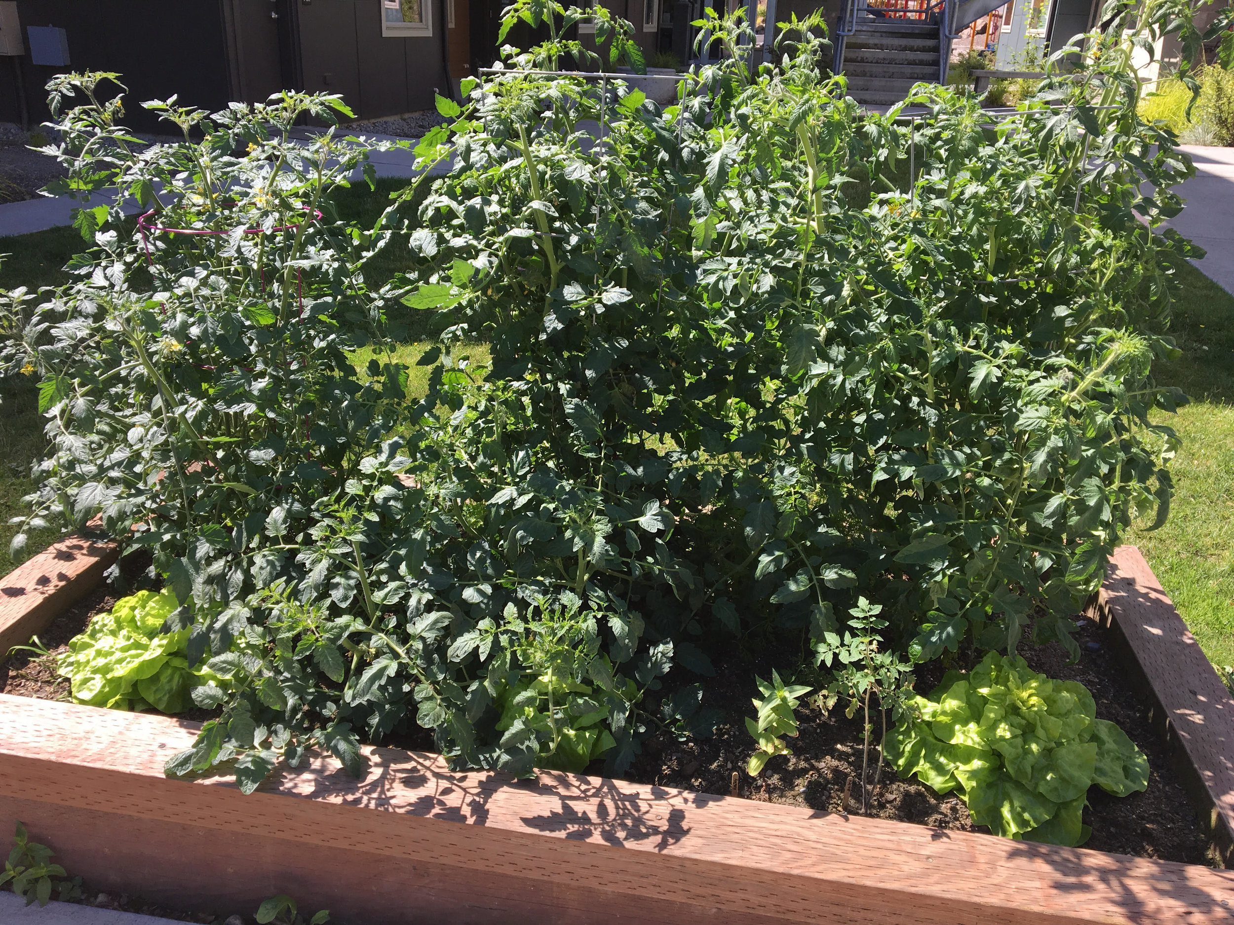20180705village.jpg