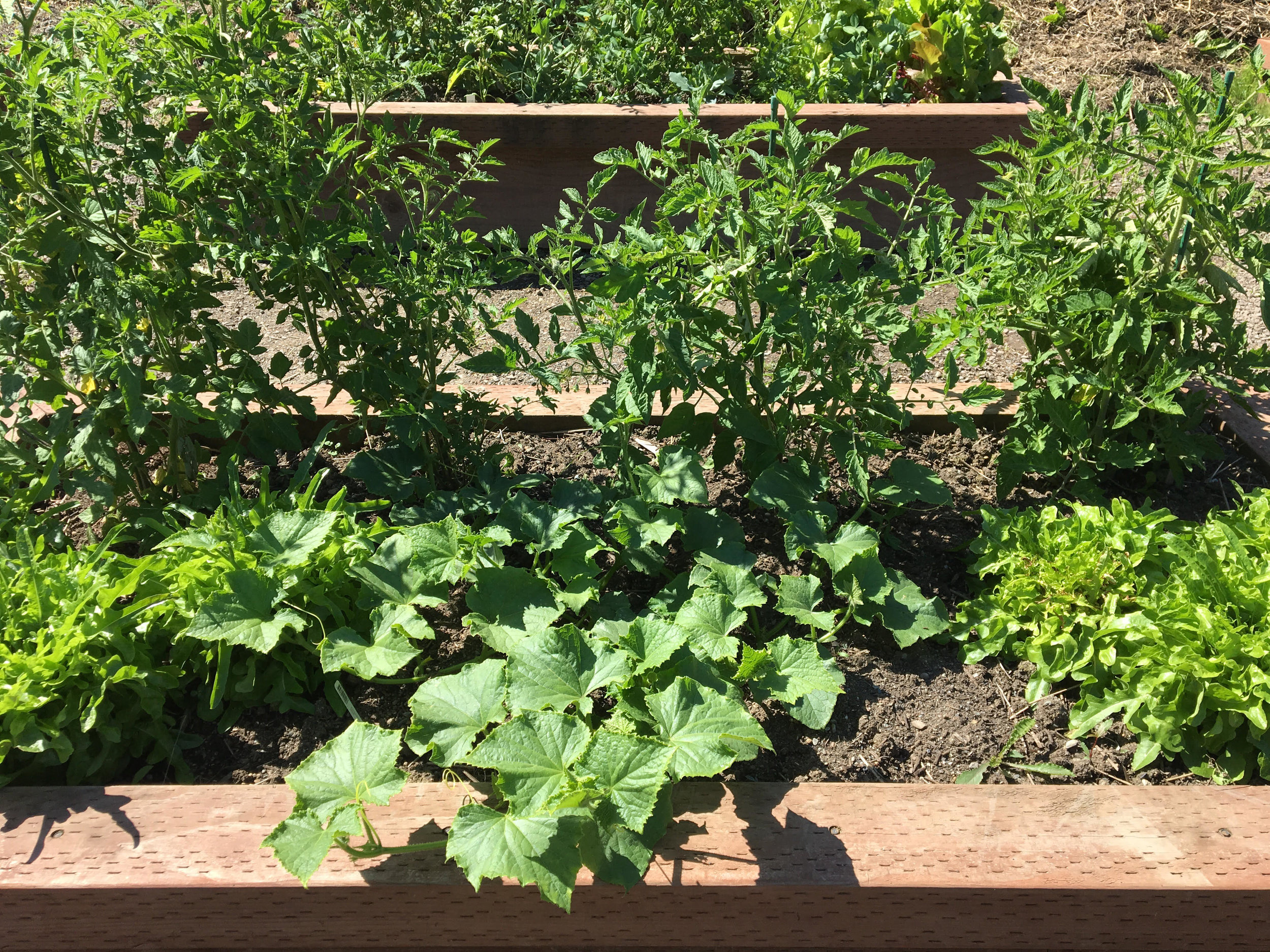 20180705village2.jpg