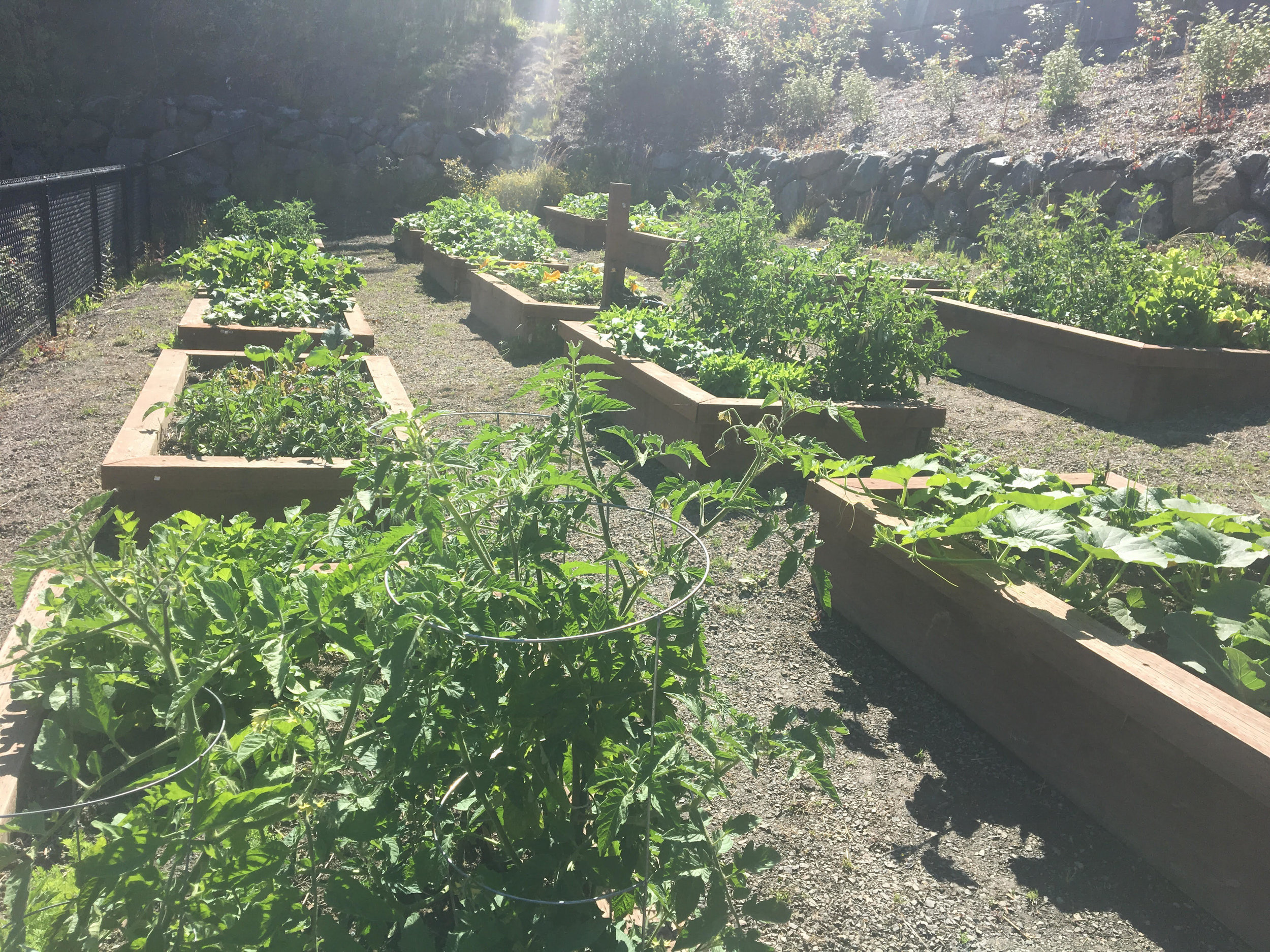 20180705village3.jpg