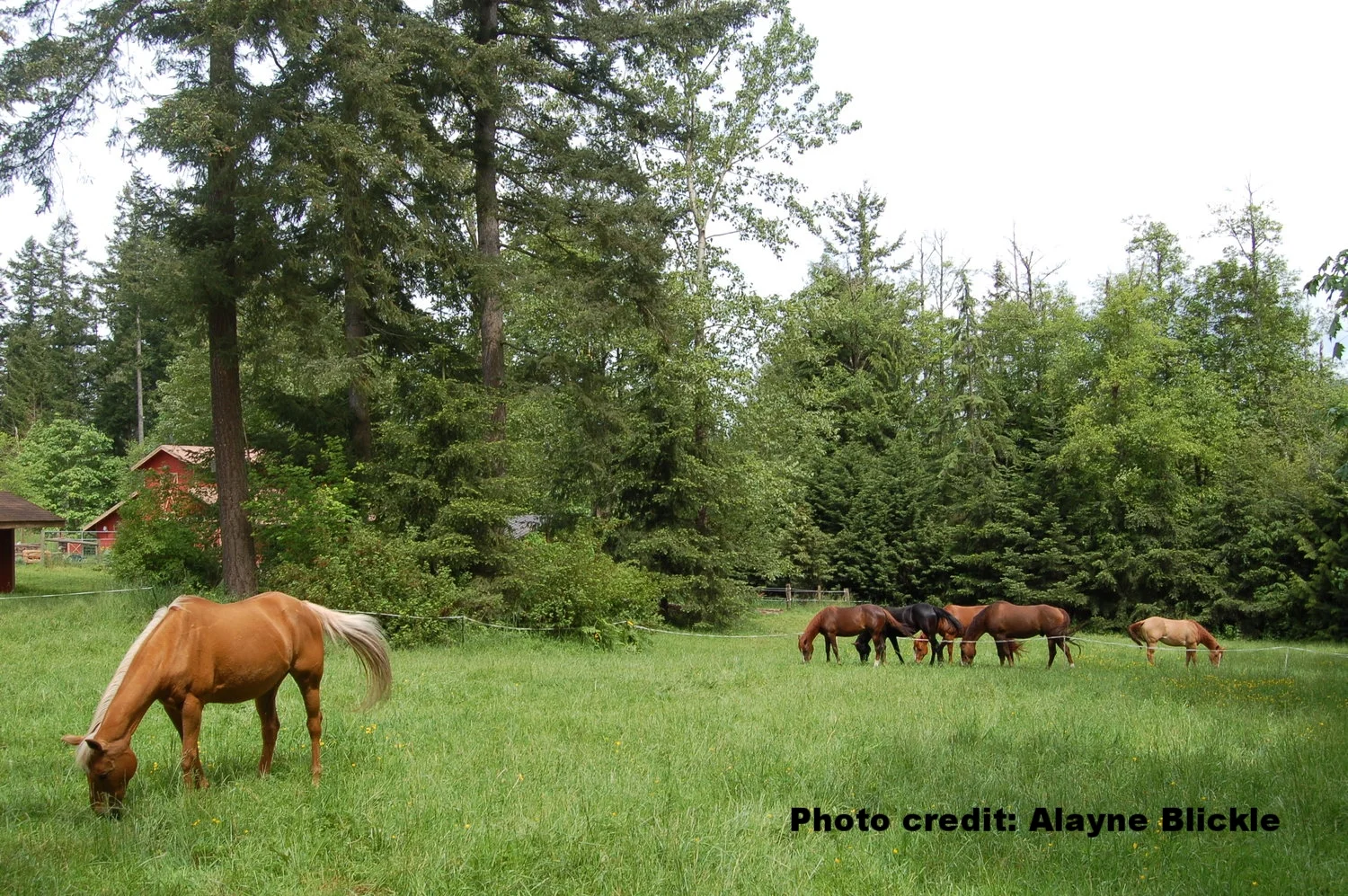 Photo credit: Alayne blickle