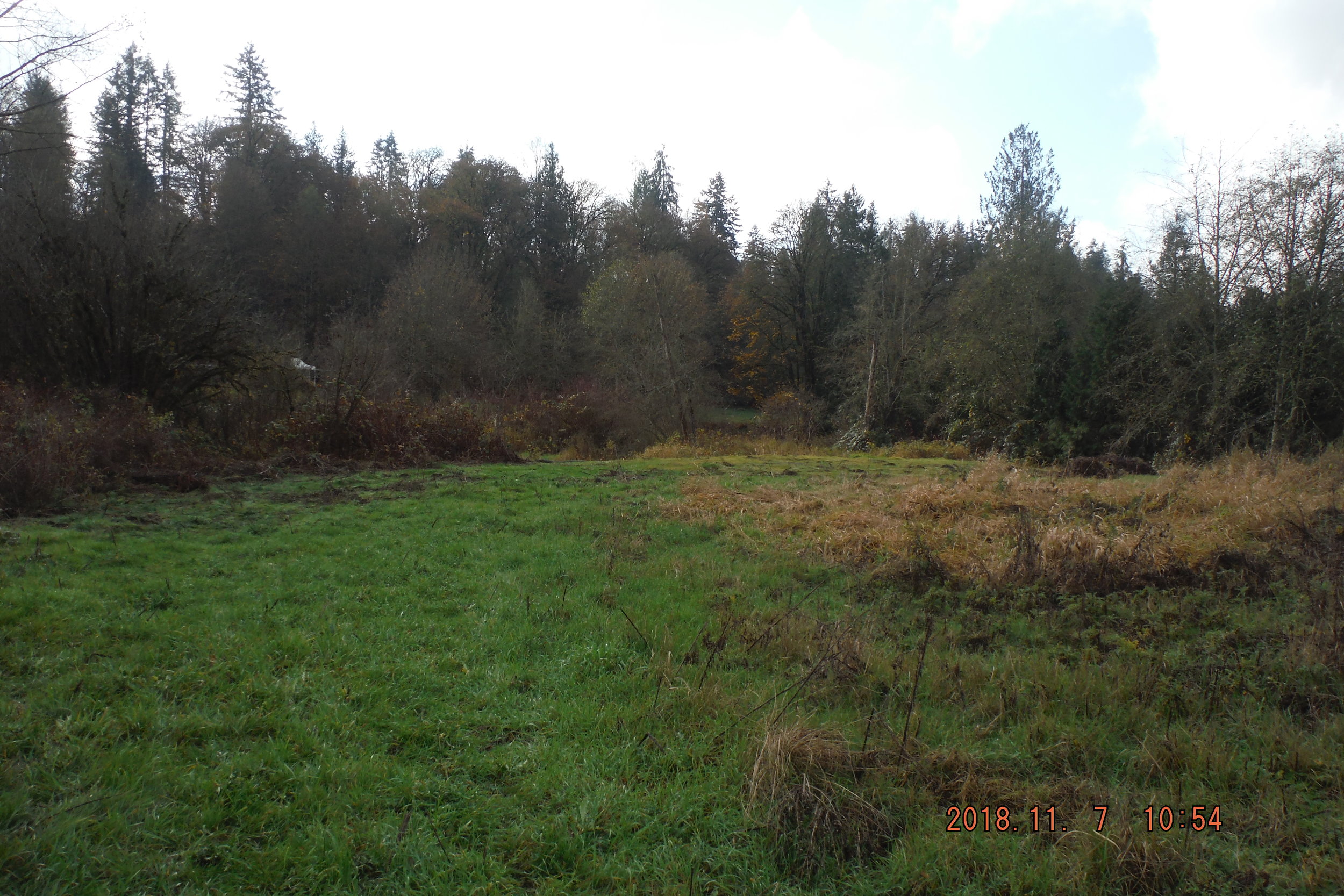 Prepping Planting Area on Woods Creek